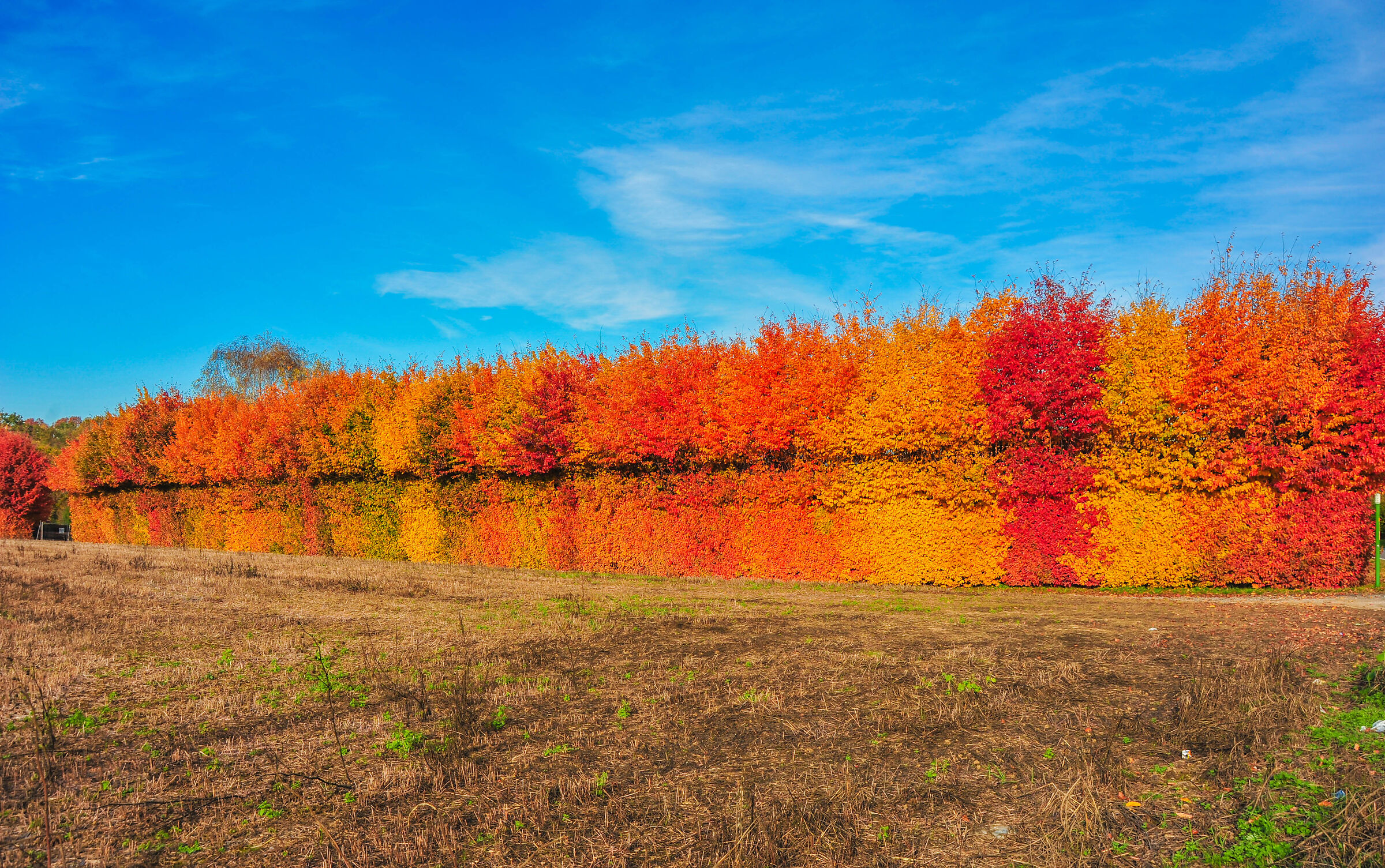 I colori dell'autunno