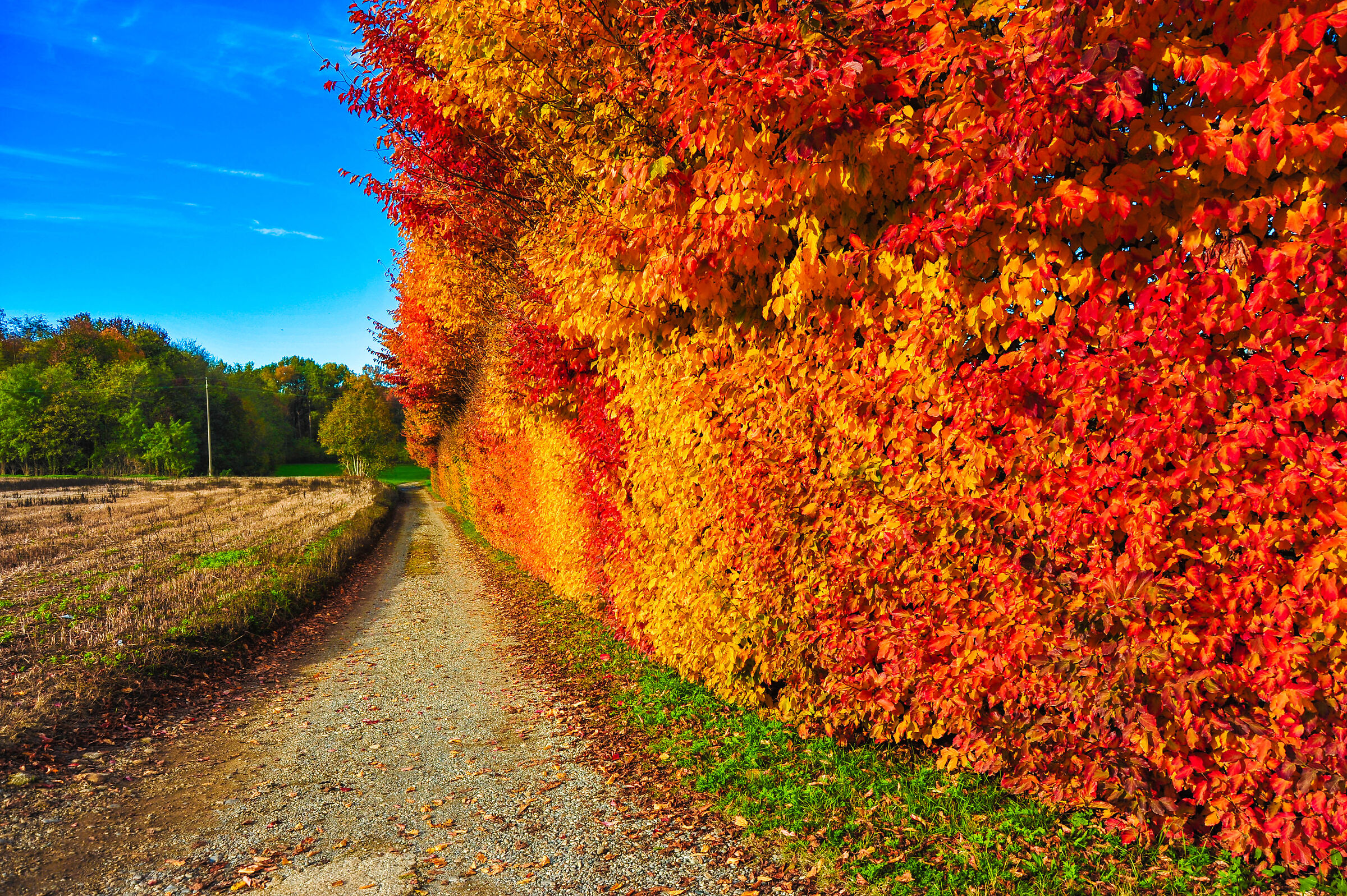 I colori dell'autunno