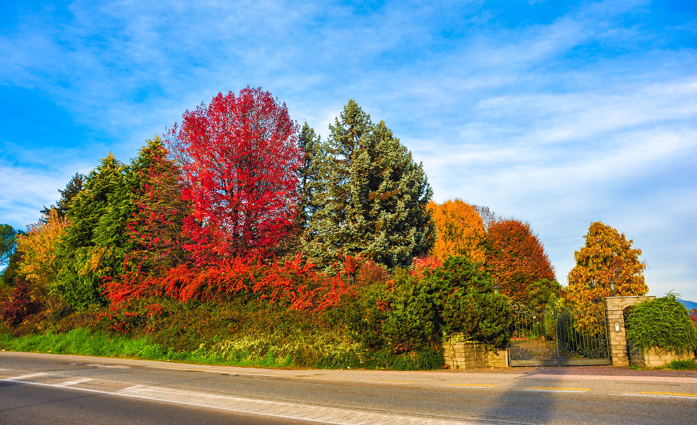 I colori dell'autunno