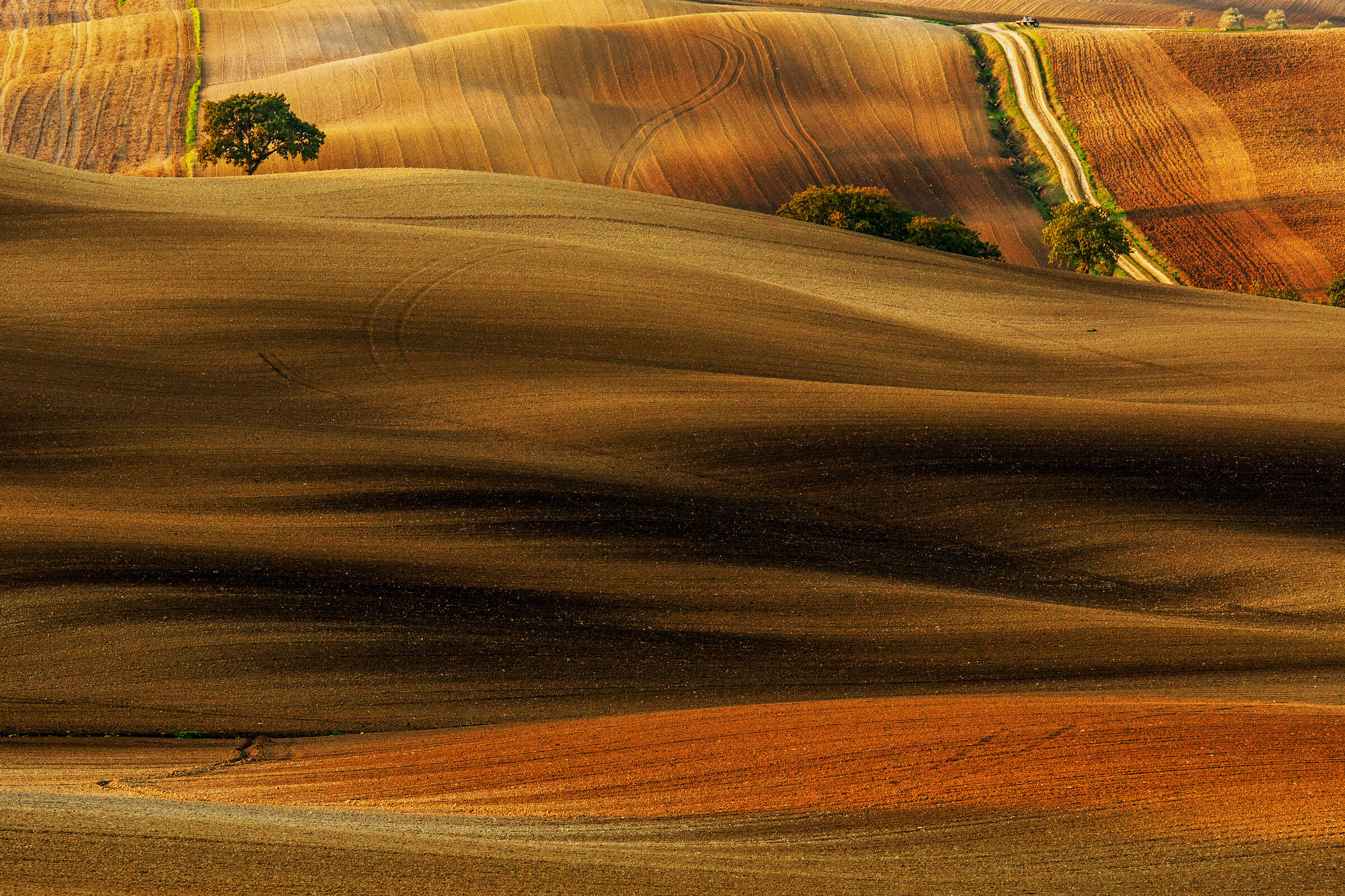 la strada bianca...