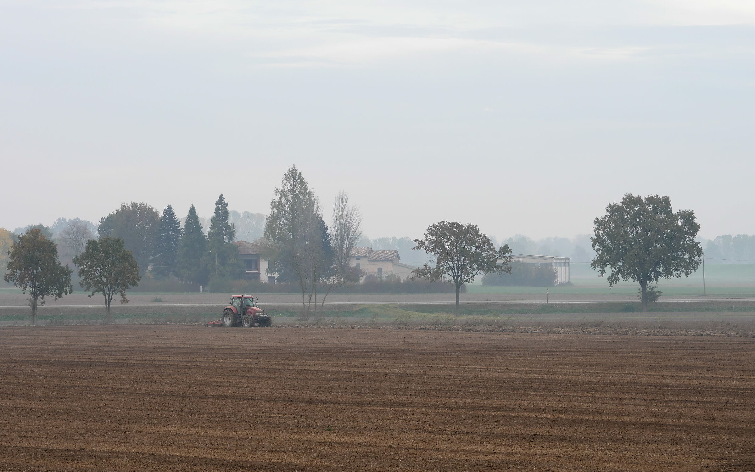 Untitled Photo