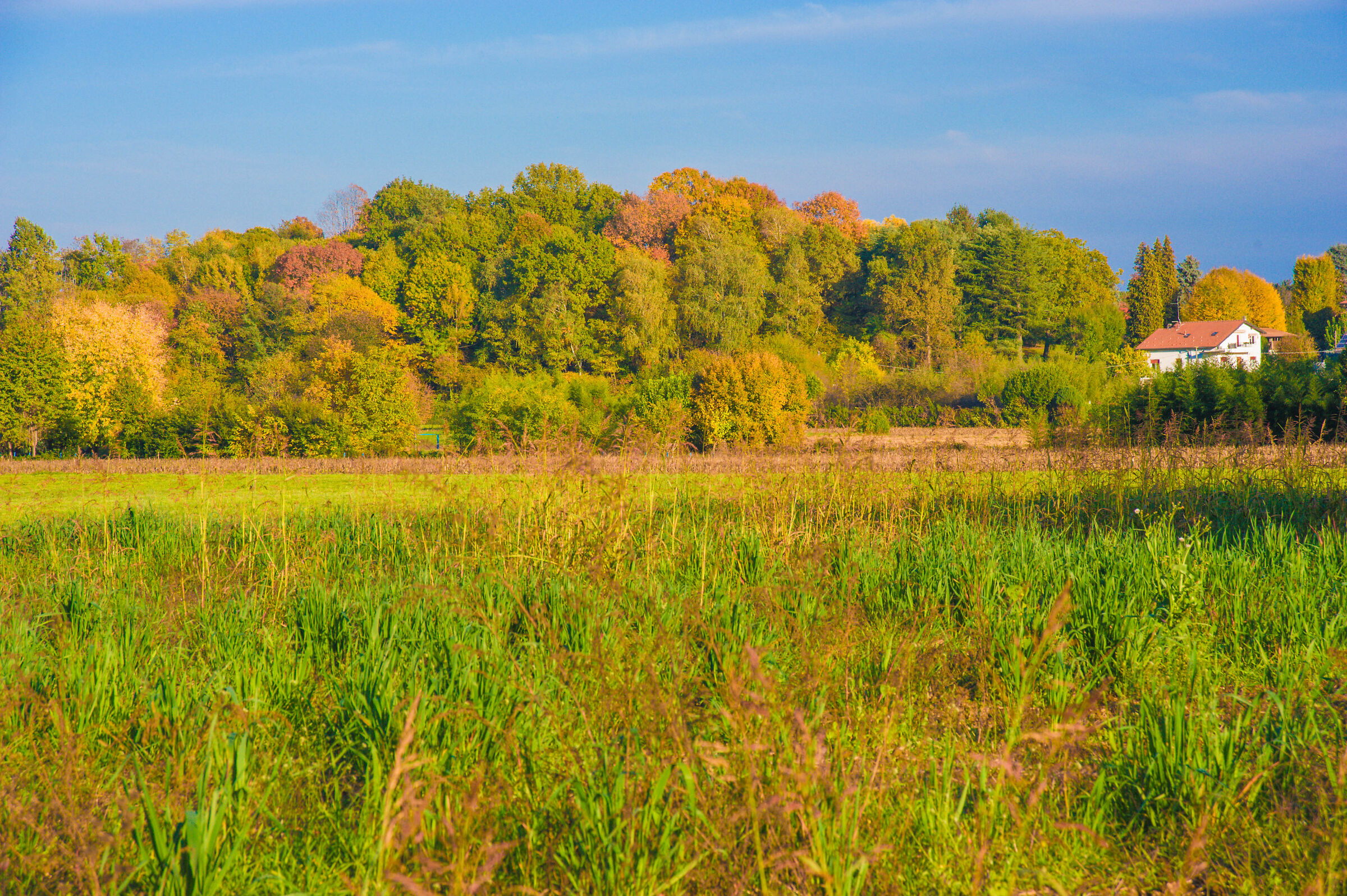 I colori dell'autunno