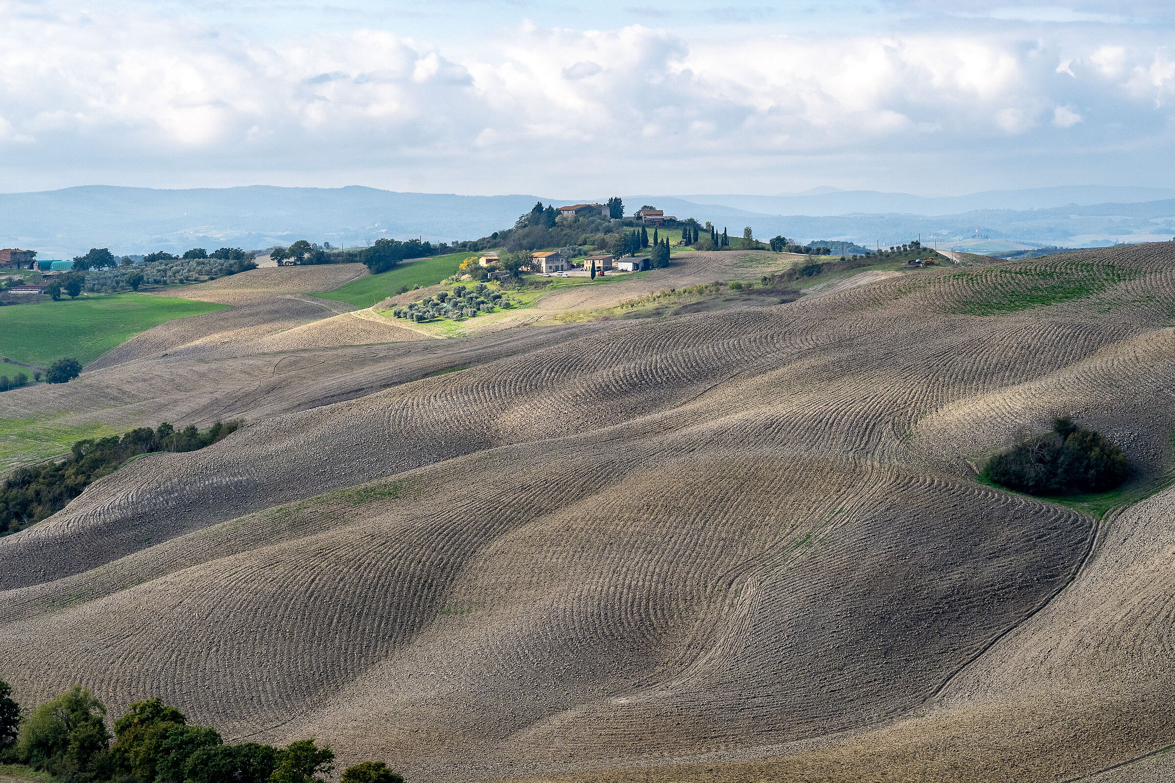 Crete Senesi