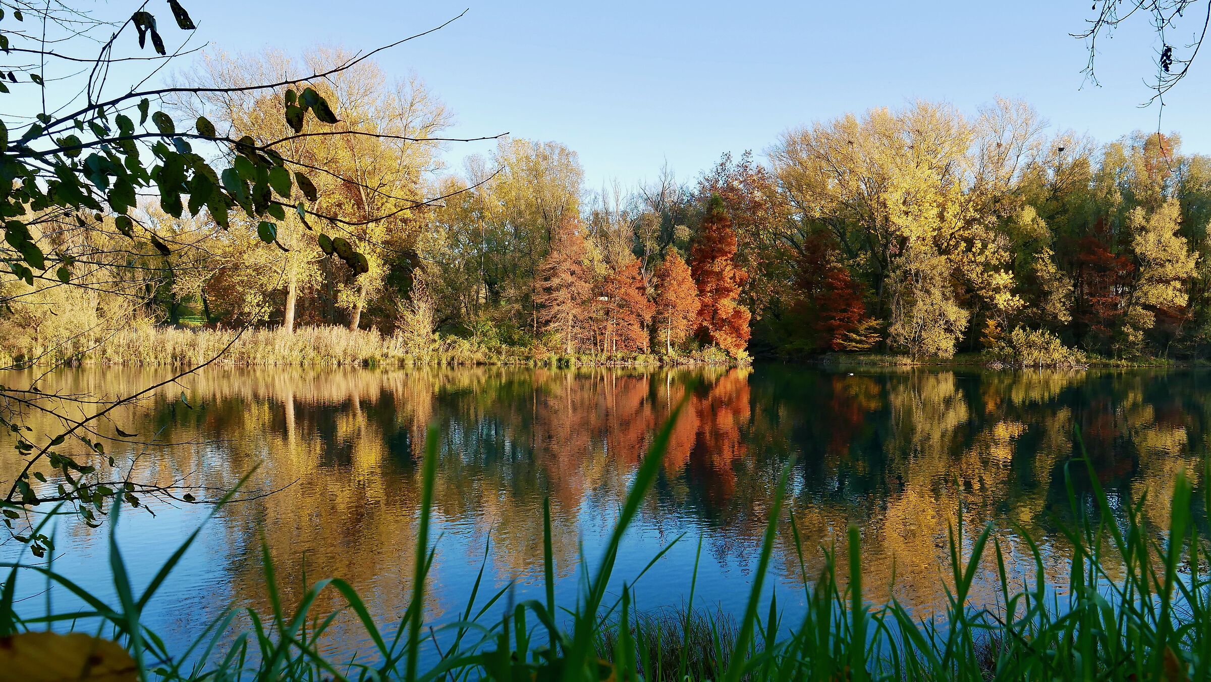 Colori d'autunno lungo l"Adda