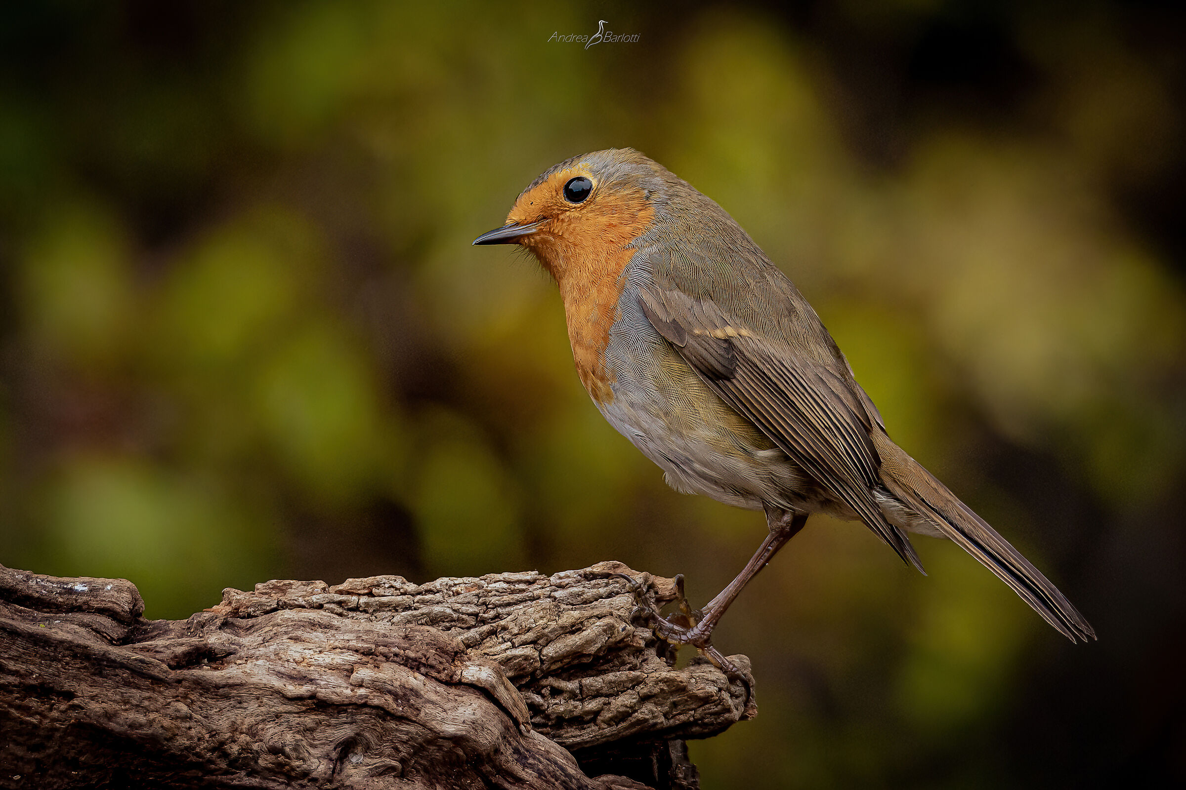 Geometric balance...