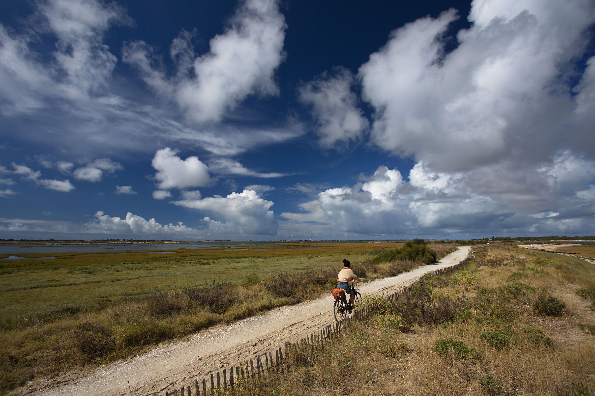 Una splendida giornata di vento e sole