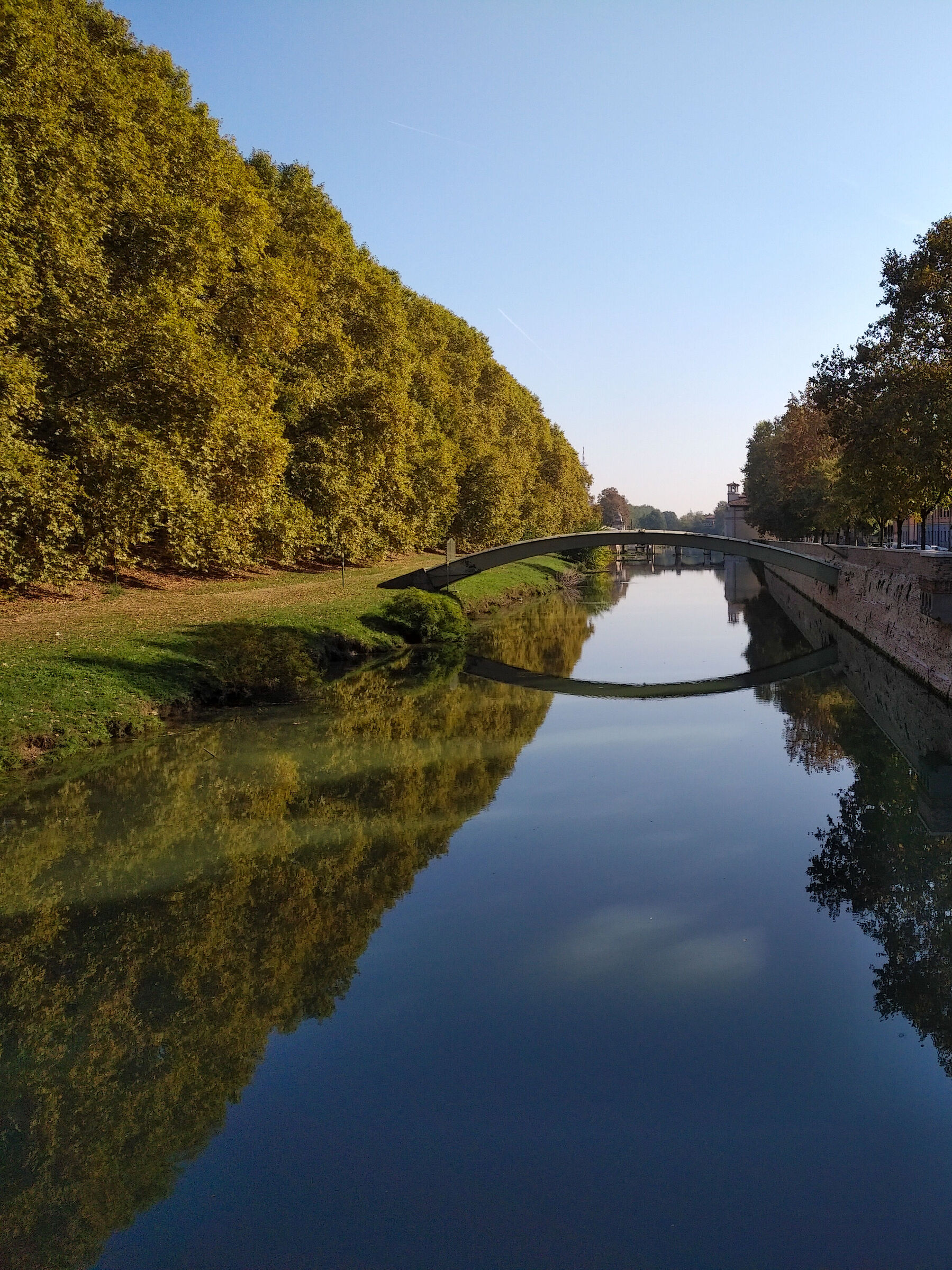 Padua: one of the many...