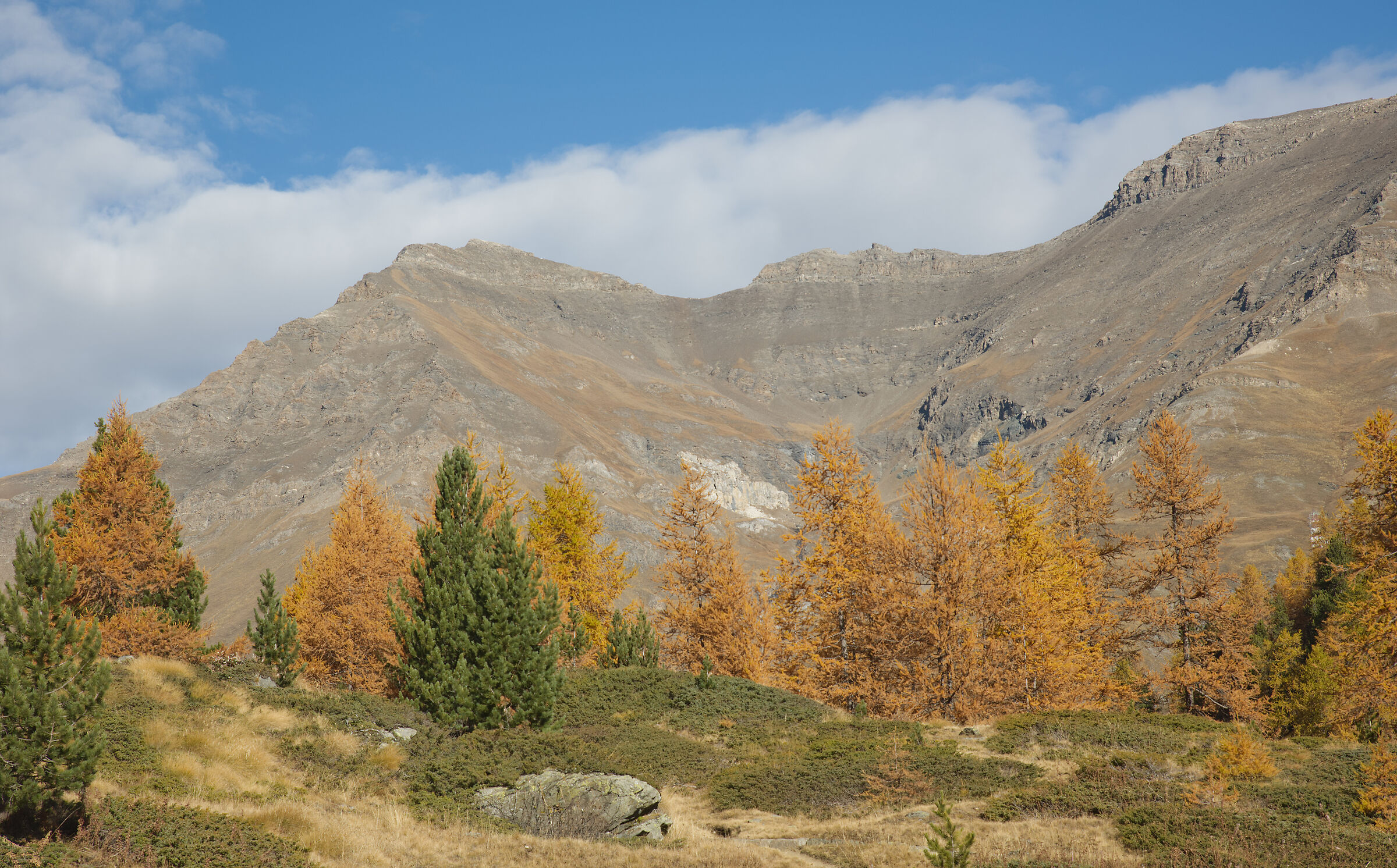autumn in Val d'Aosta October 2021