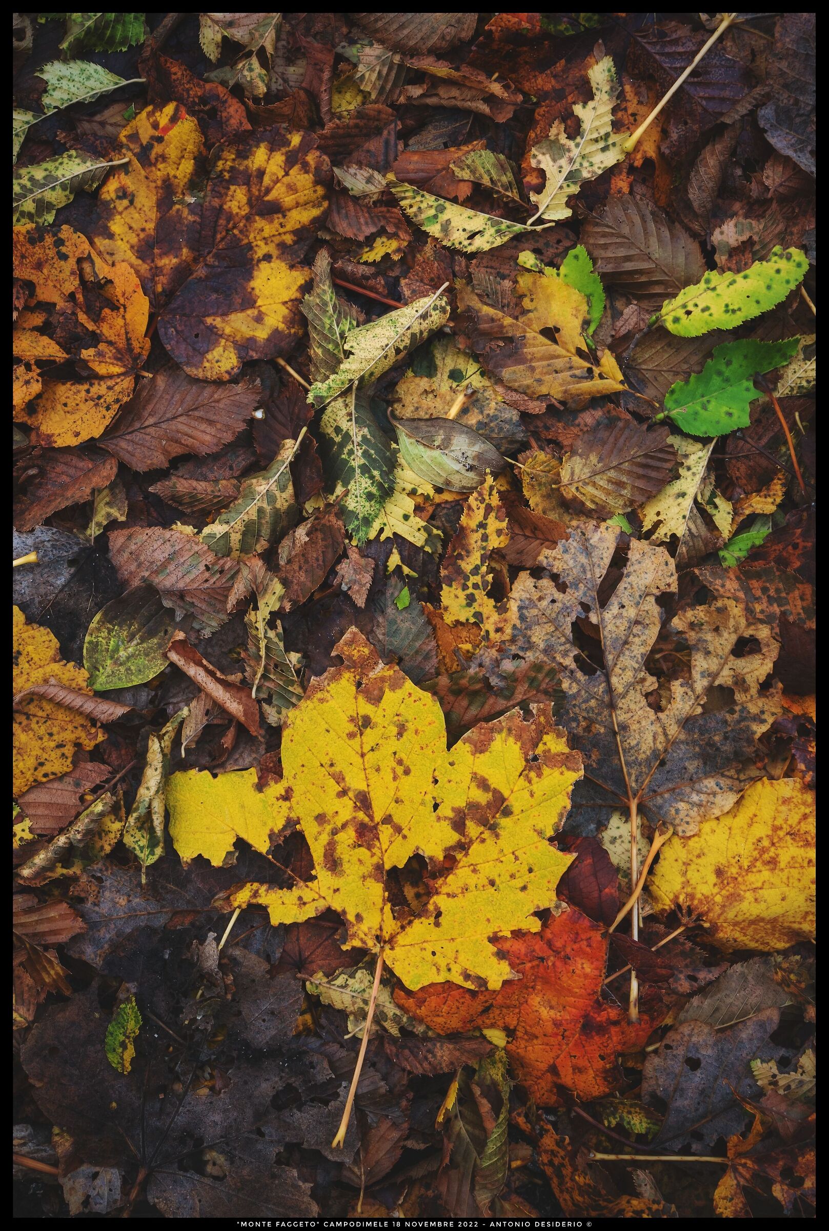 Beauty is everywhere...