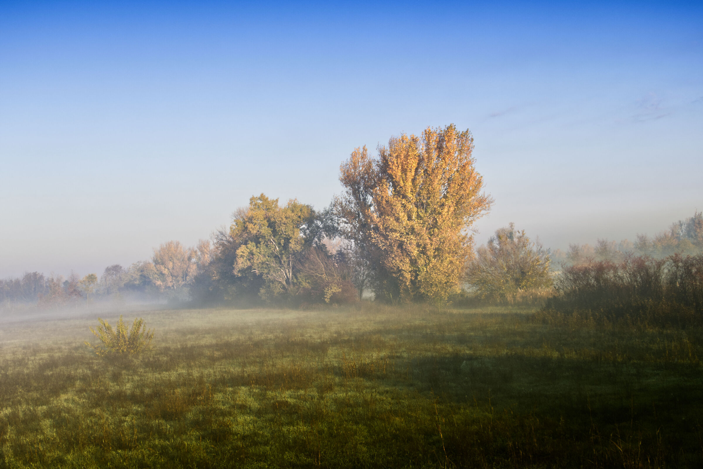 Alba nella brughiera