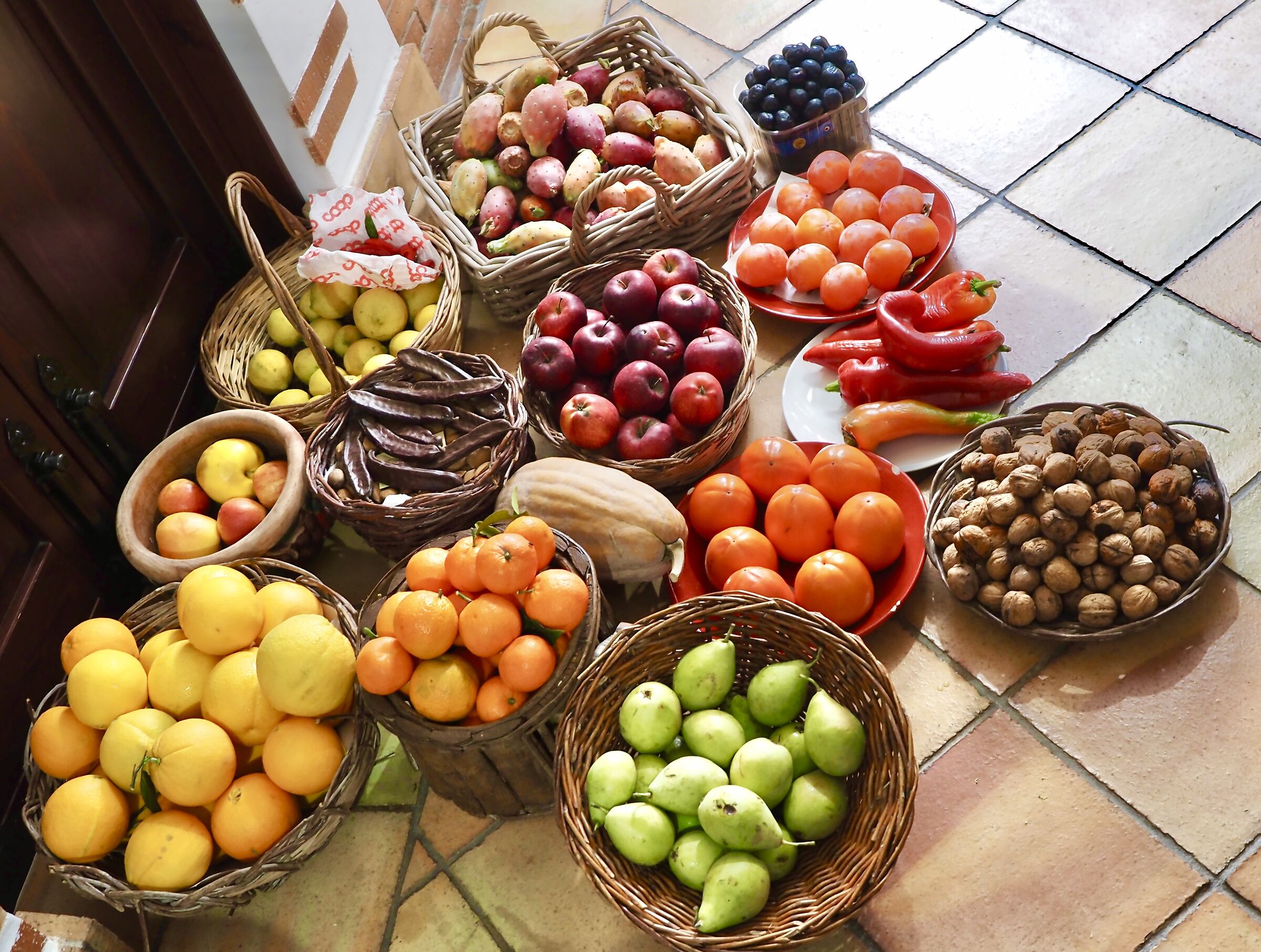 Fruits of Etna