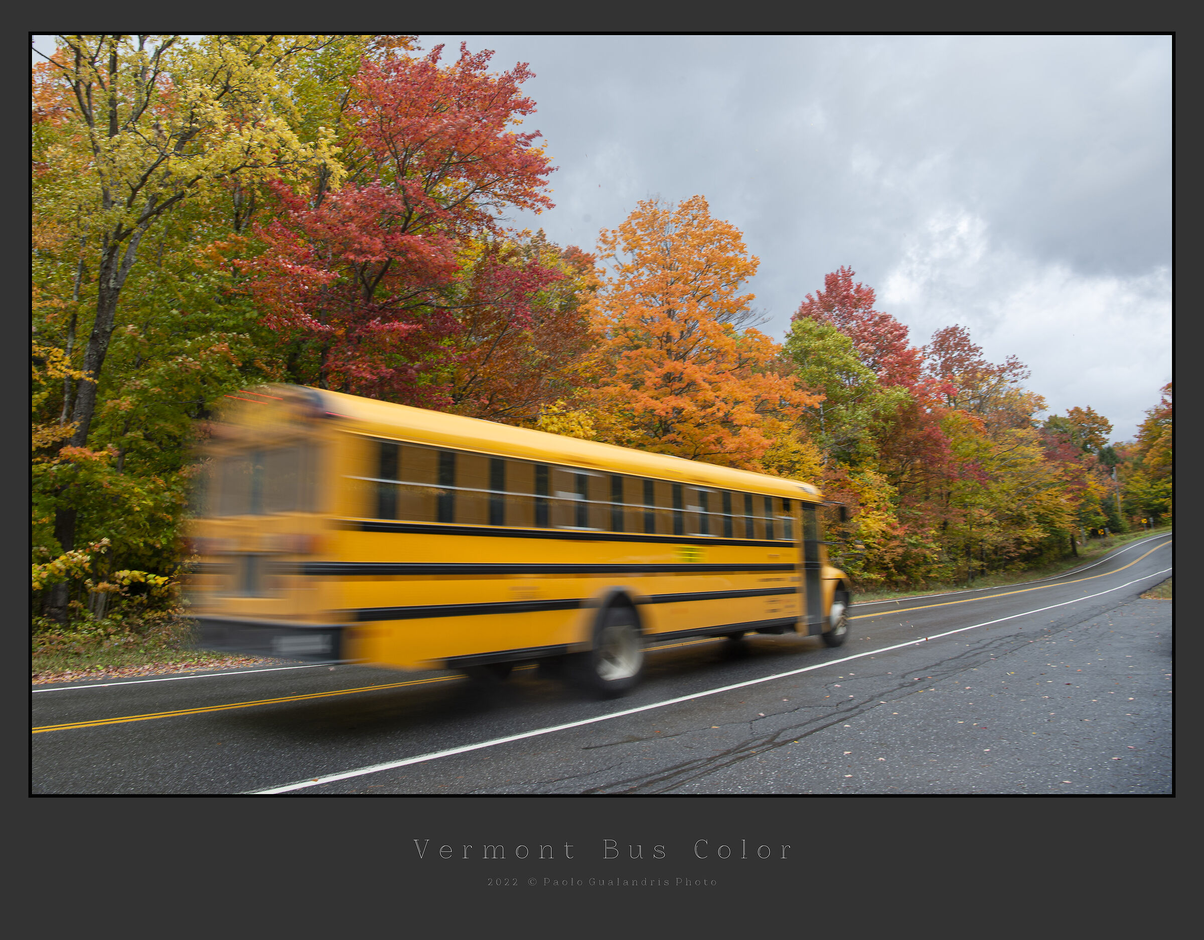 Vermont Bus Color