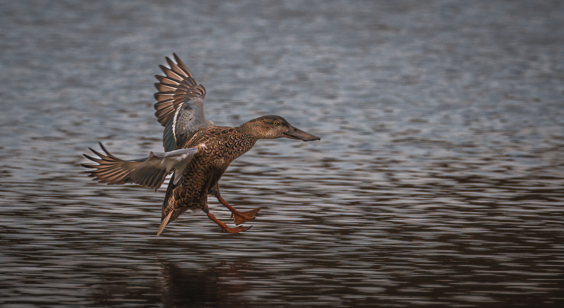 Landing