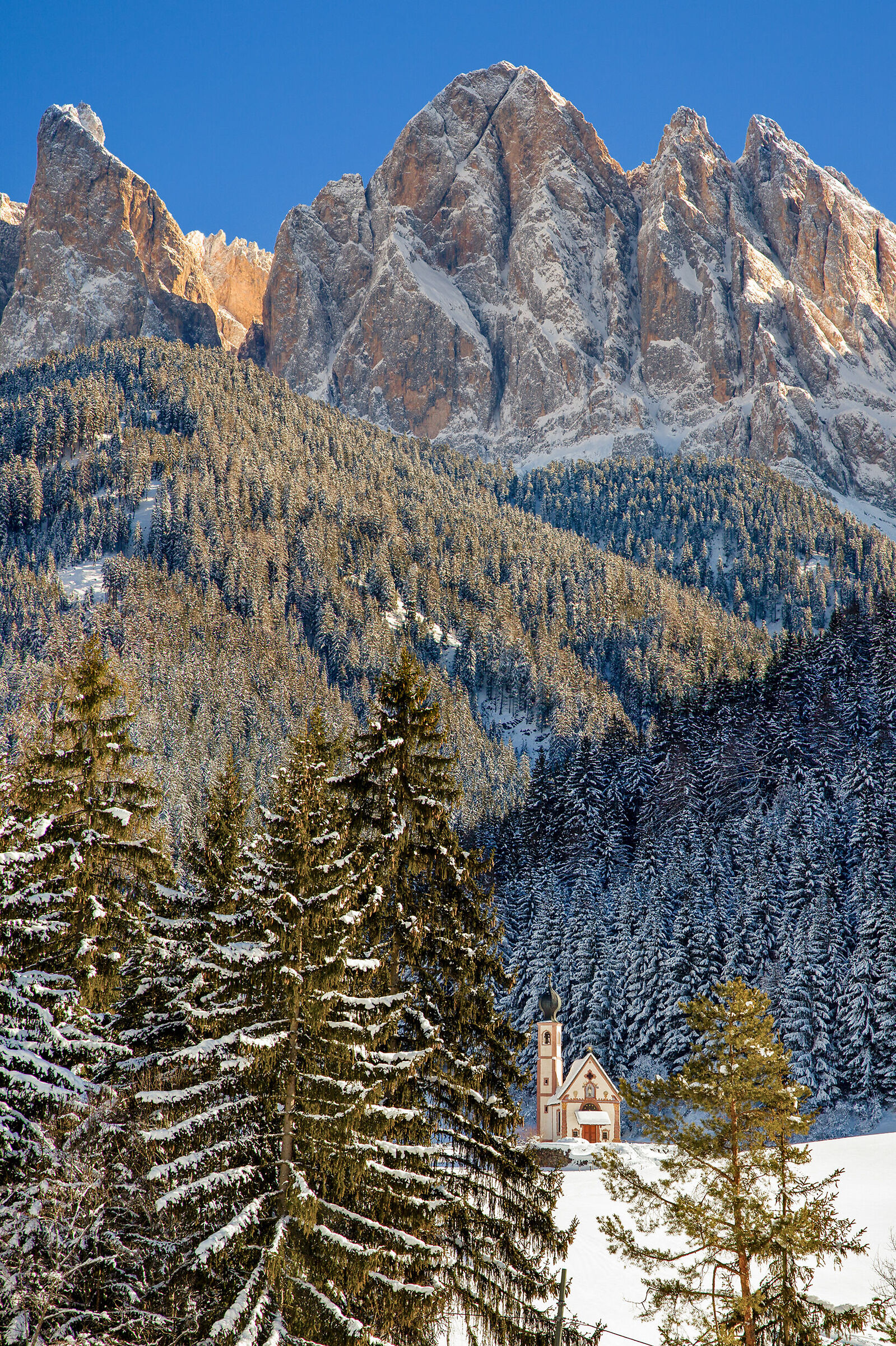 Chiesetta S.Giovanni tra larici e abeti
