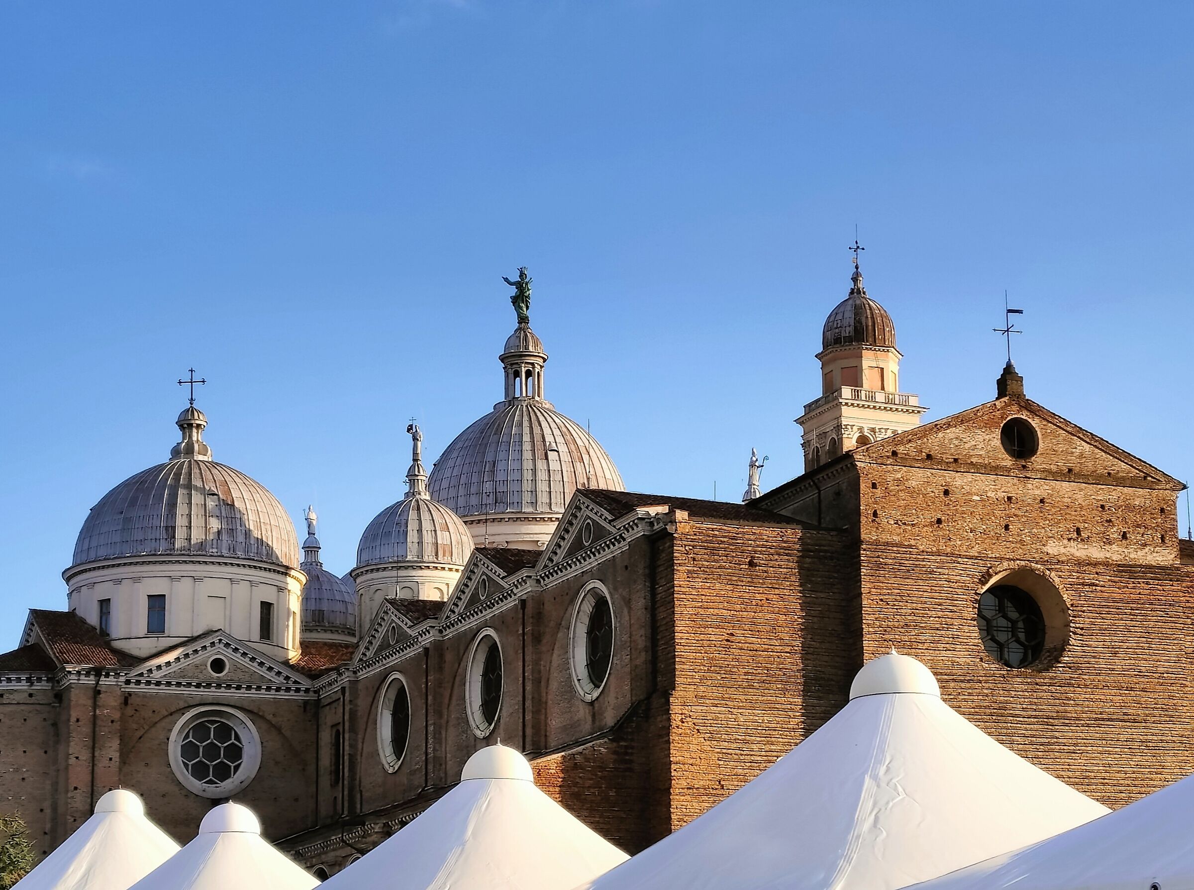 Domes