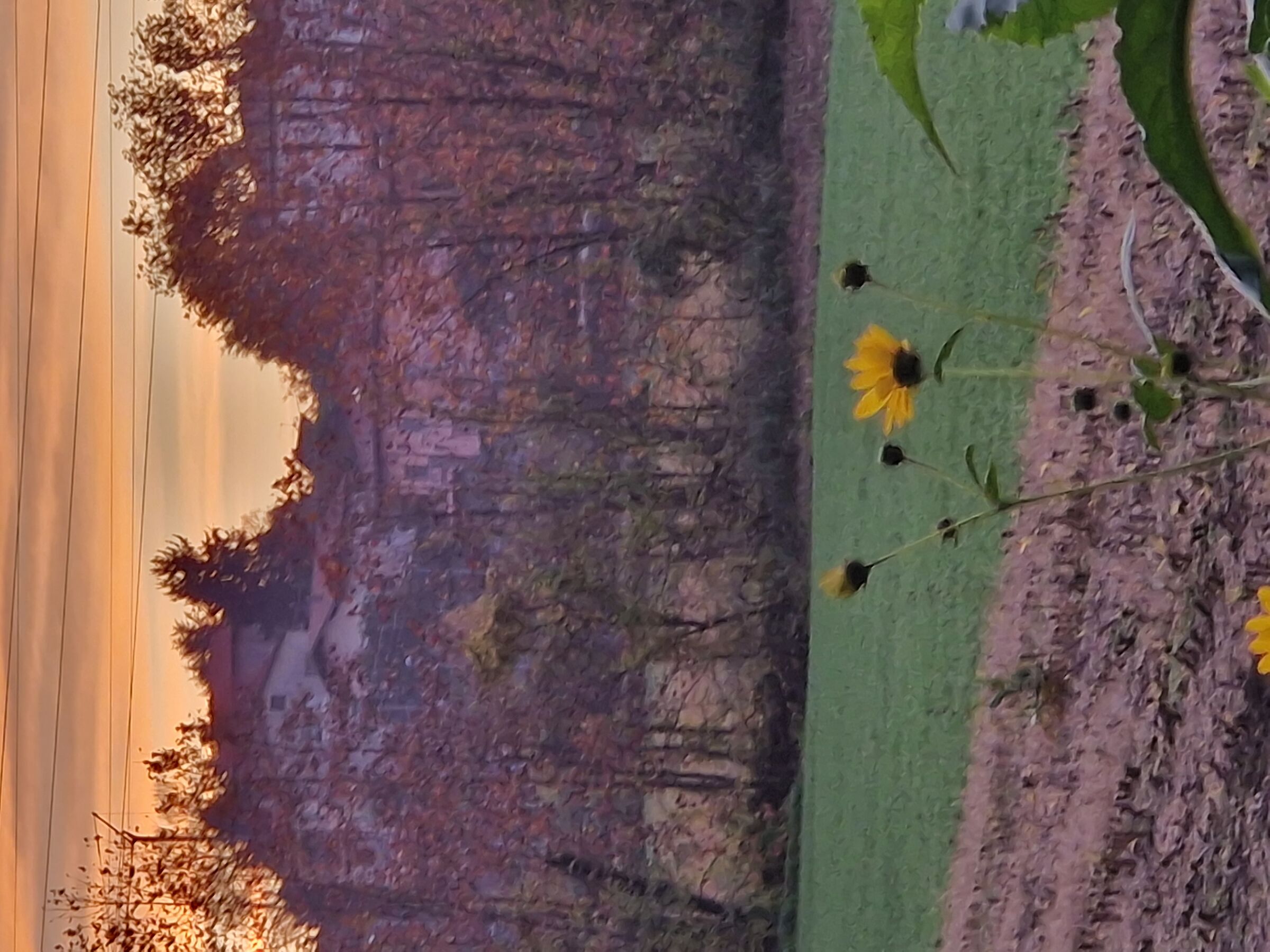 Tramonto  pagnanese....