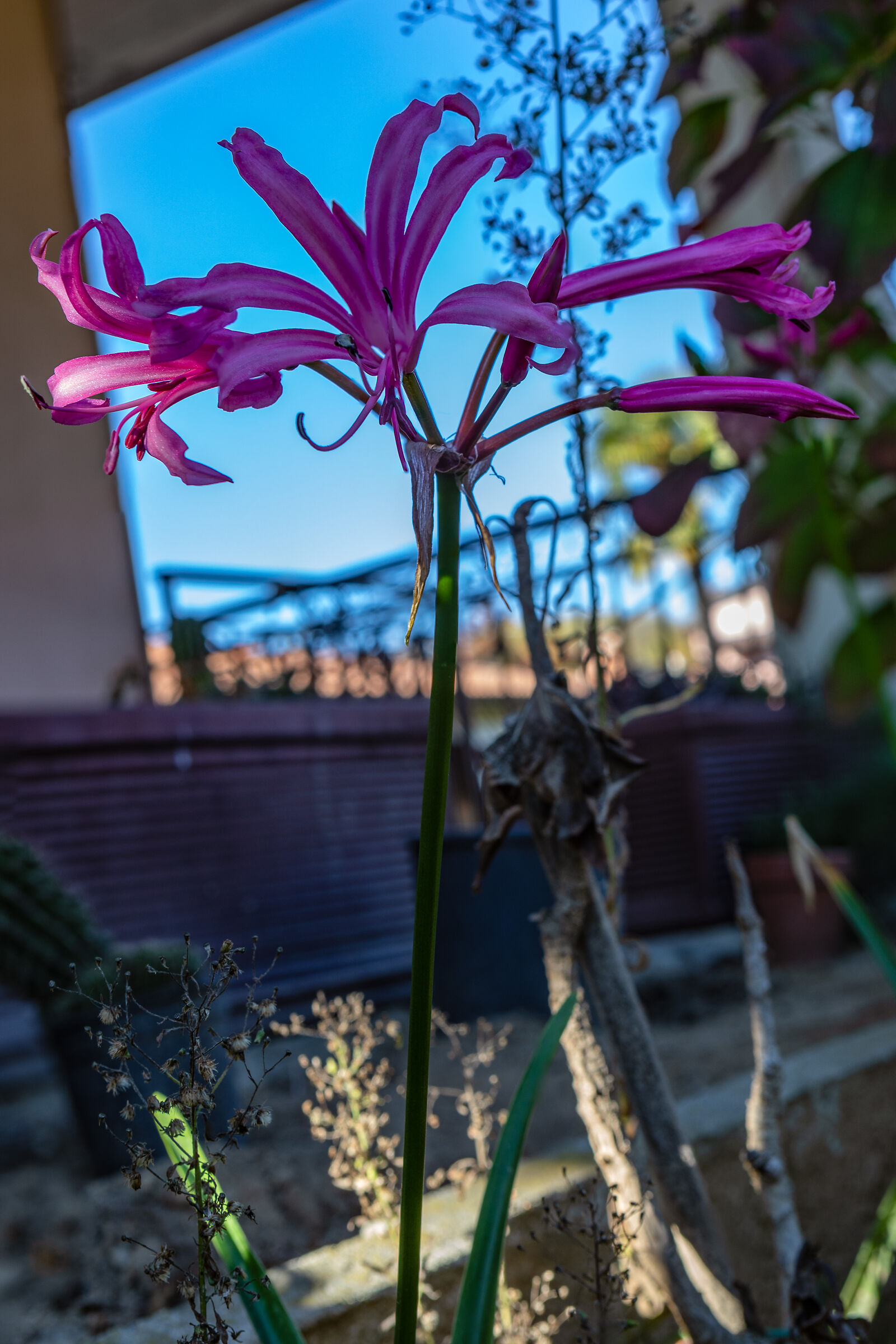 Untitled Photo