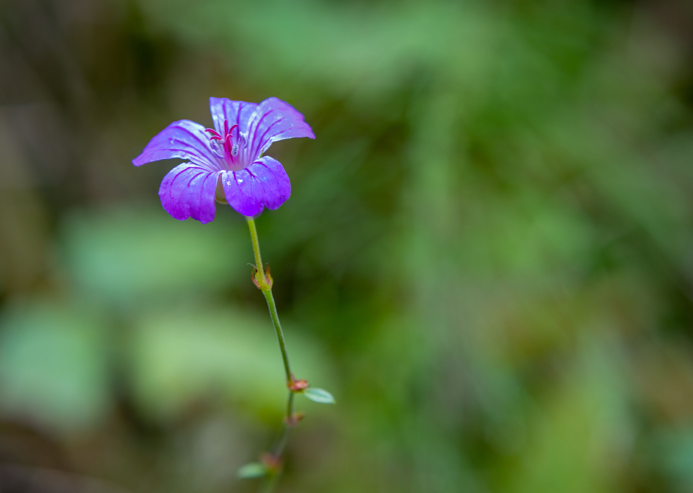 Untitled Photo