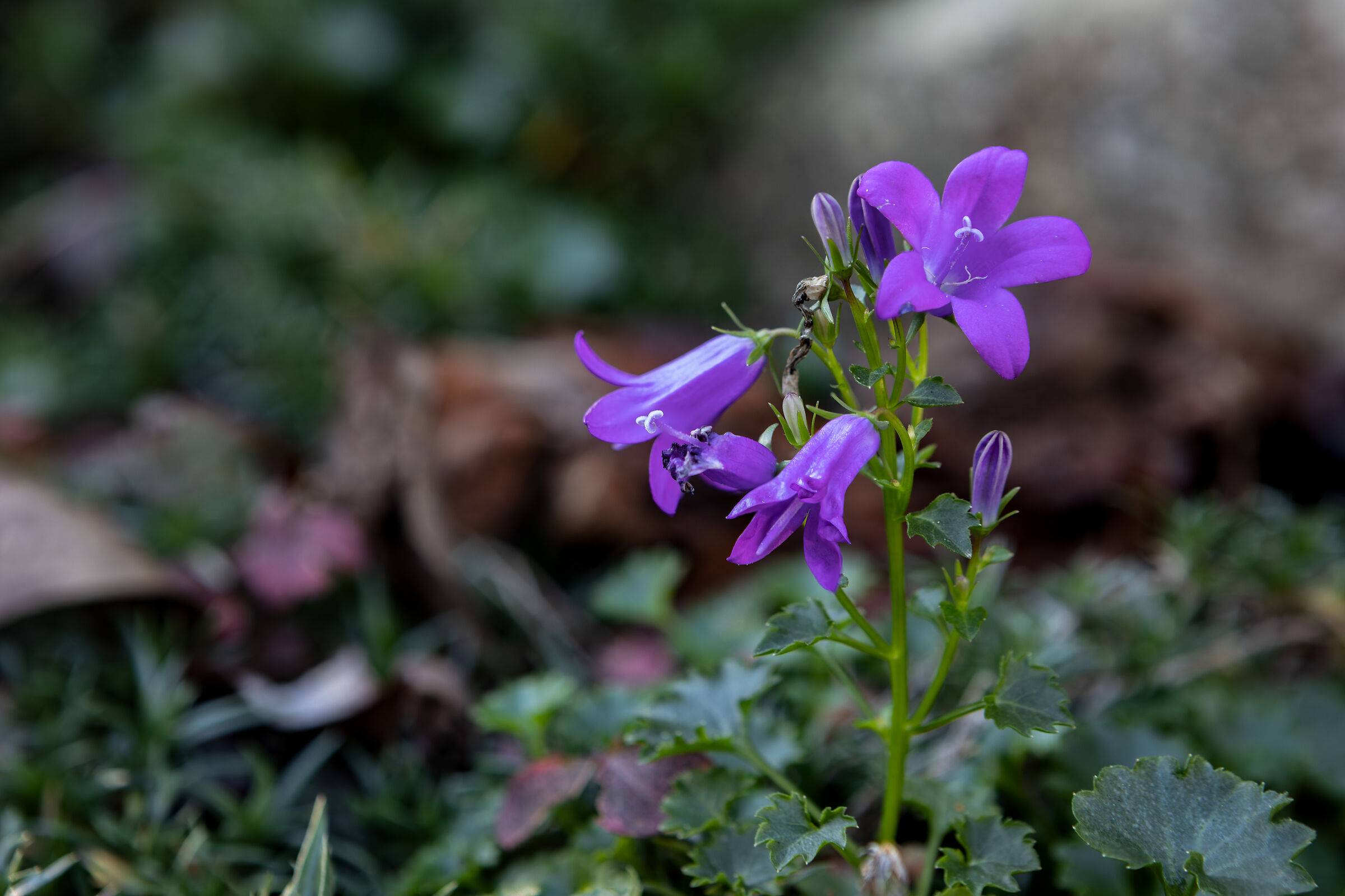 Untitled Photo