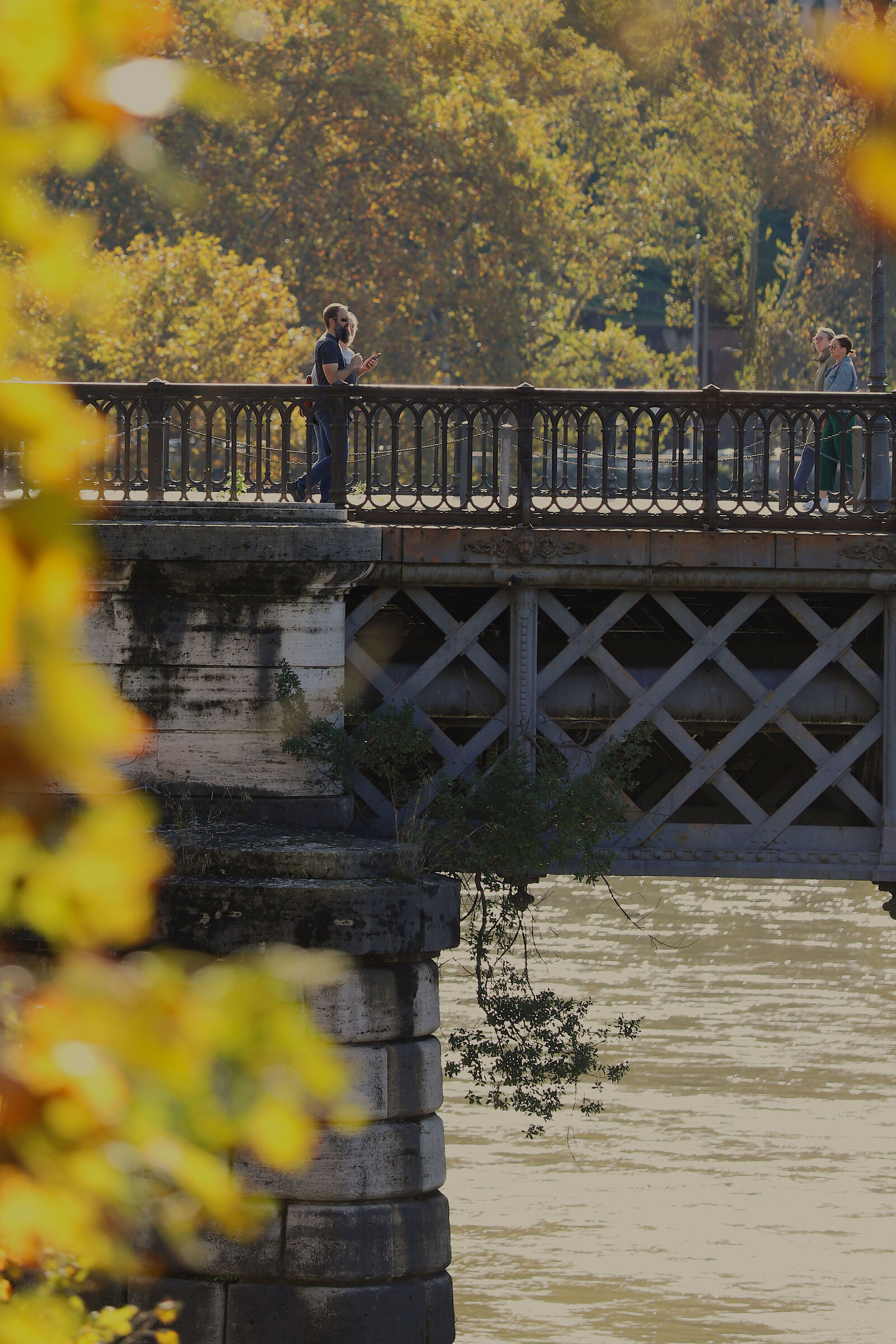 On the bridges of the Tiber
