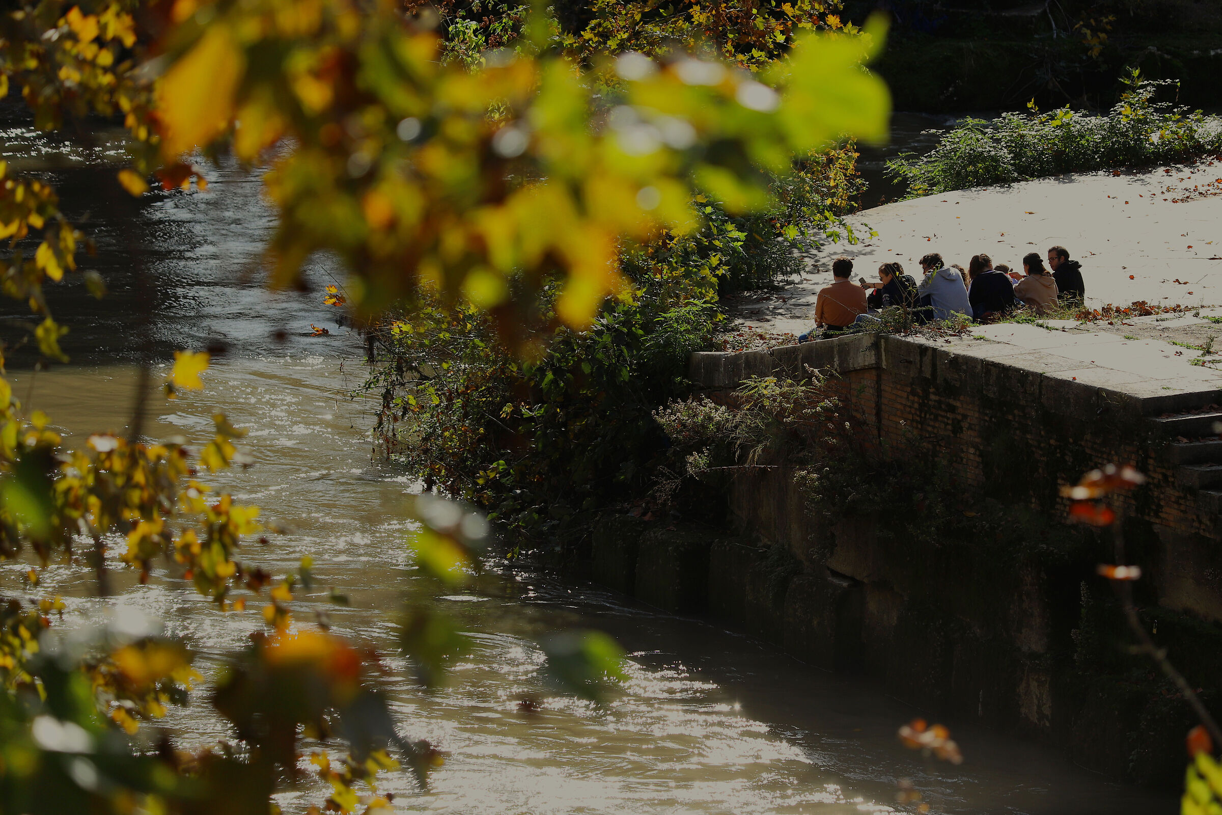 Autumn on him - Tiber Island