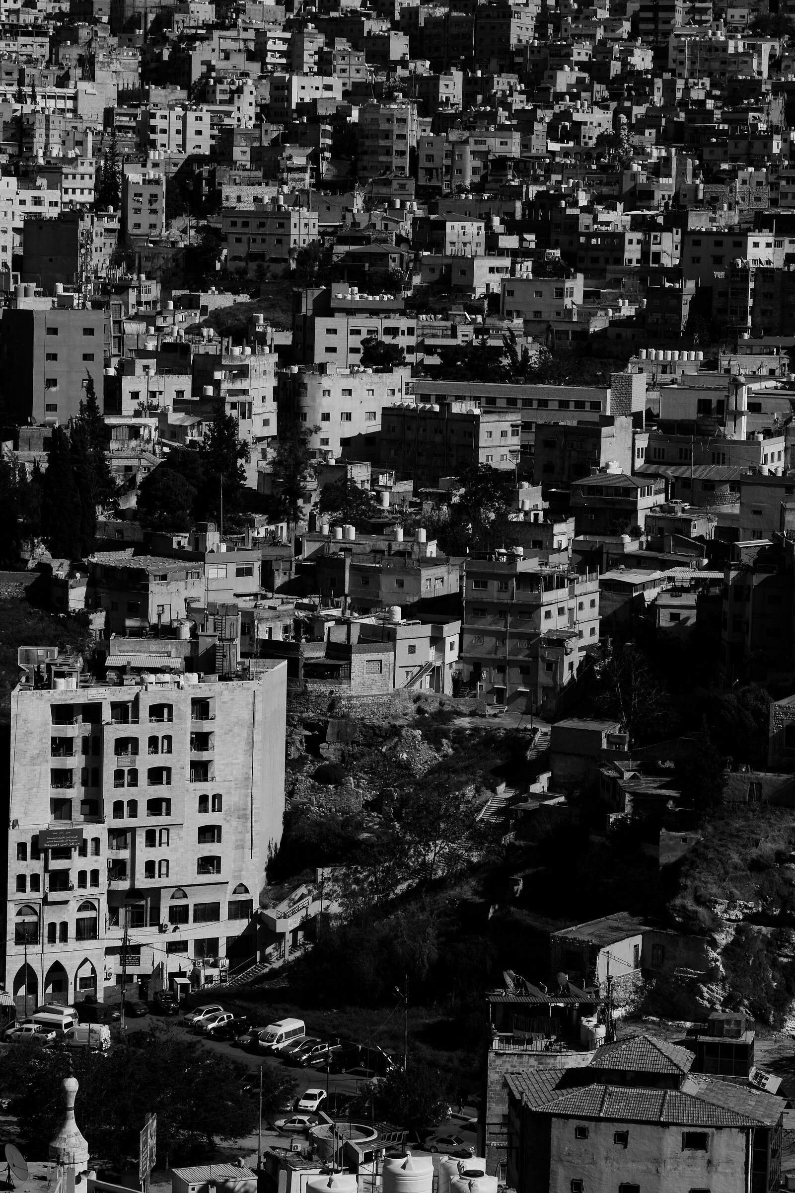 Amman