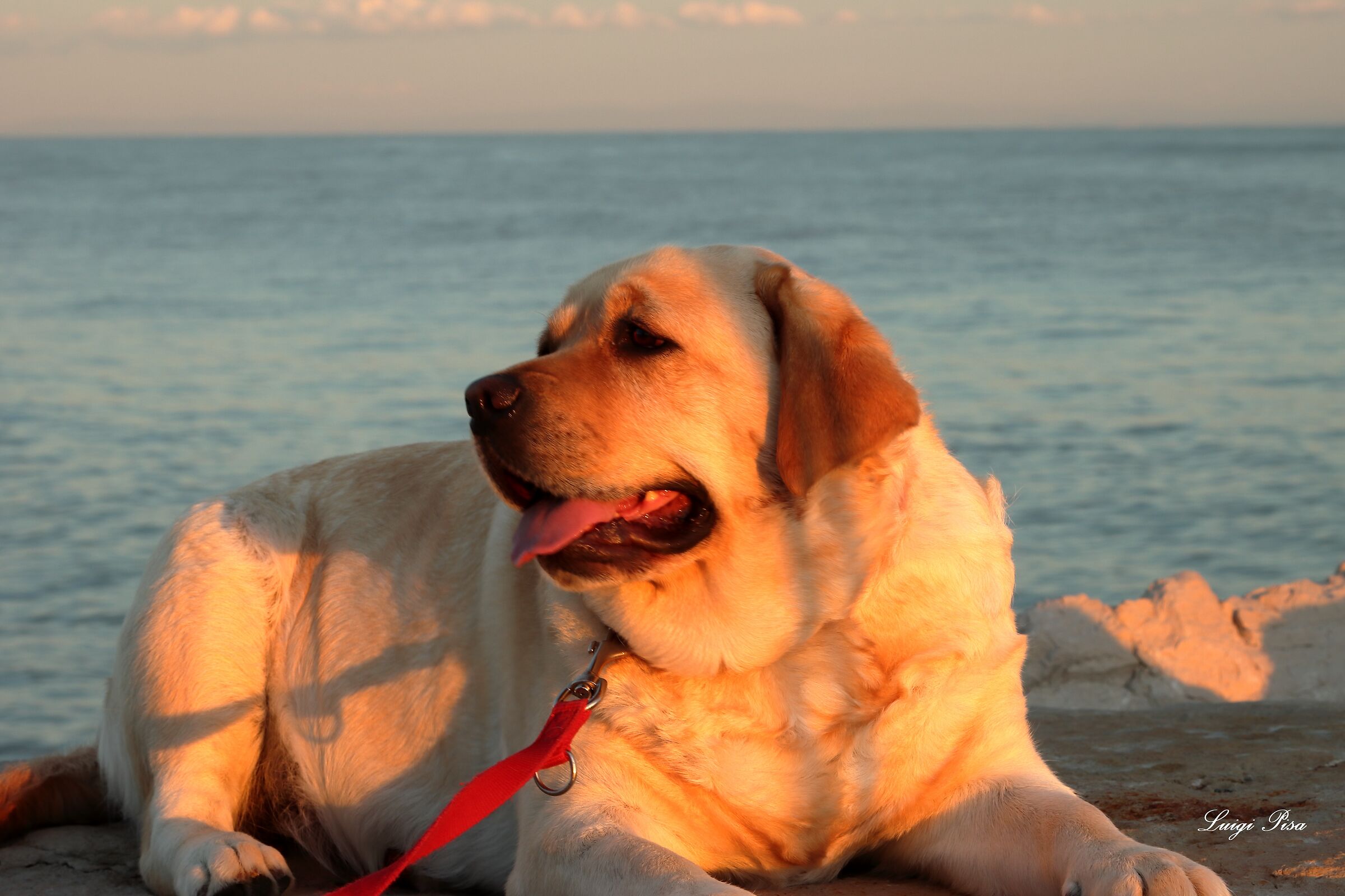 AAAHHH!!!!..mi godo il tramonto