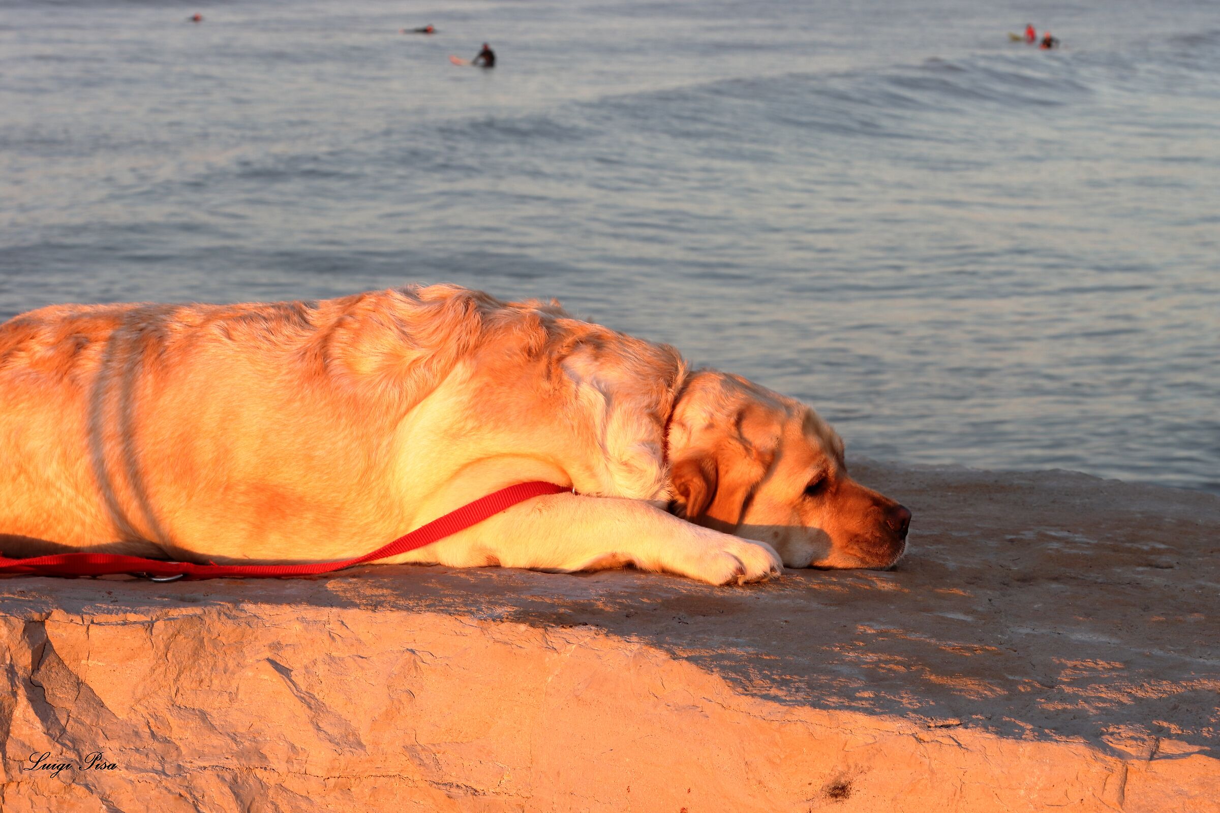 AAAHHH!!..mi godo il tramonto 2