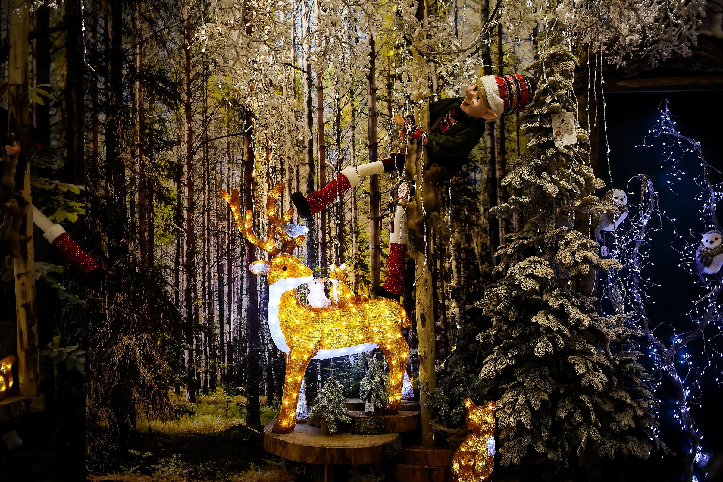 Natale sta arrivando