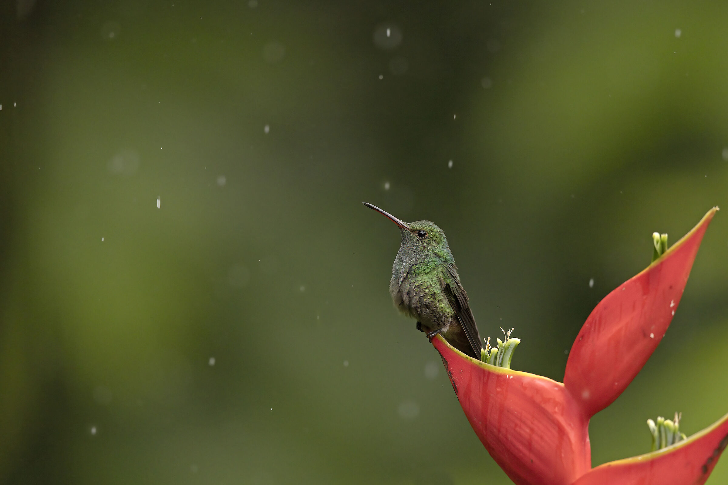 Waiting for it to rain