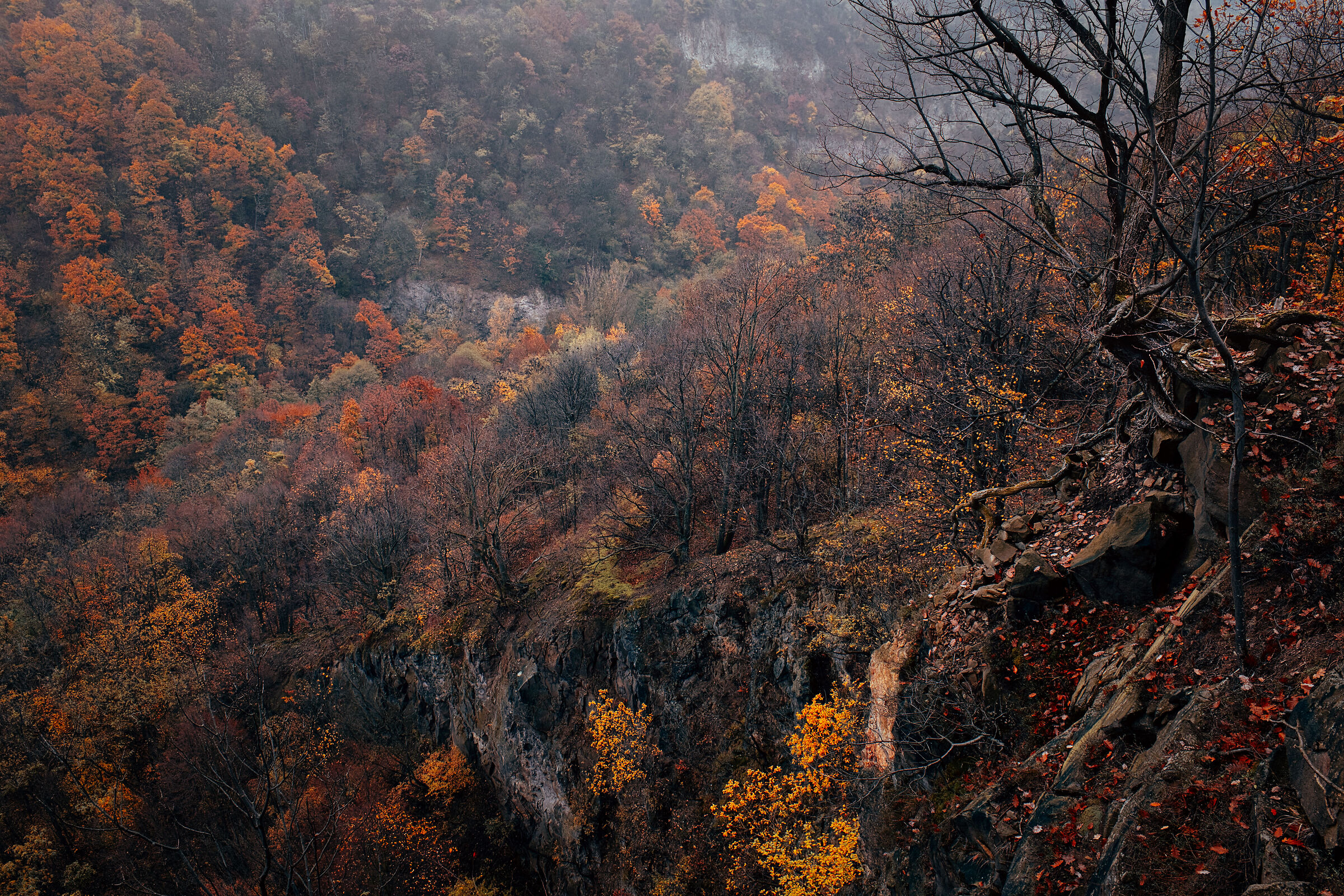 Late autumn in Pilis mountain, Hungary