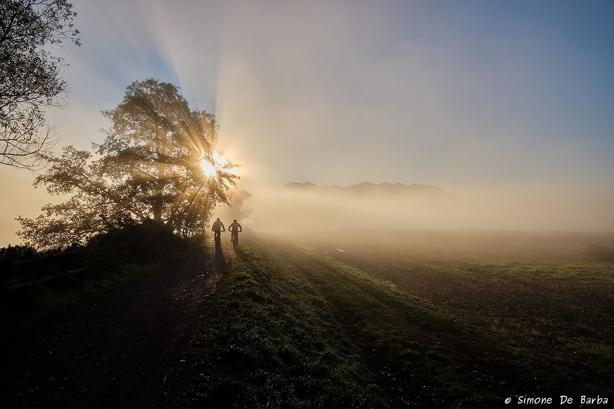Cyclists at dawn