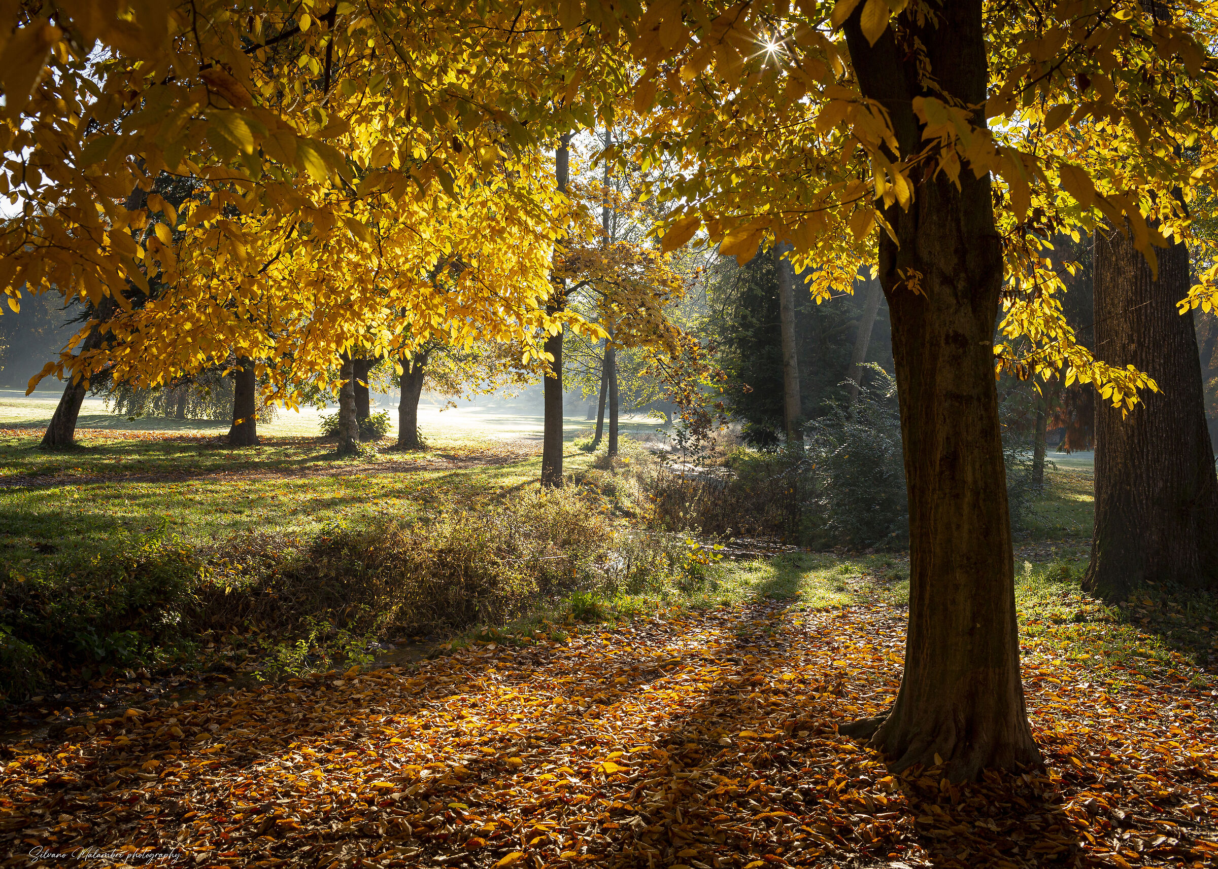 Autunno 1