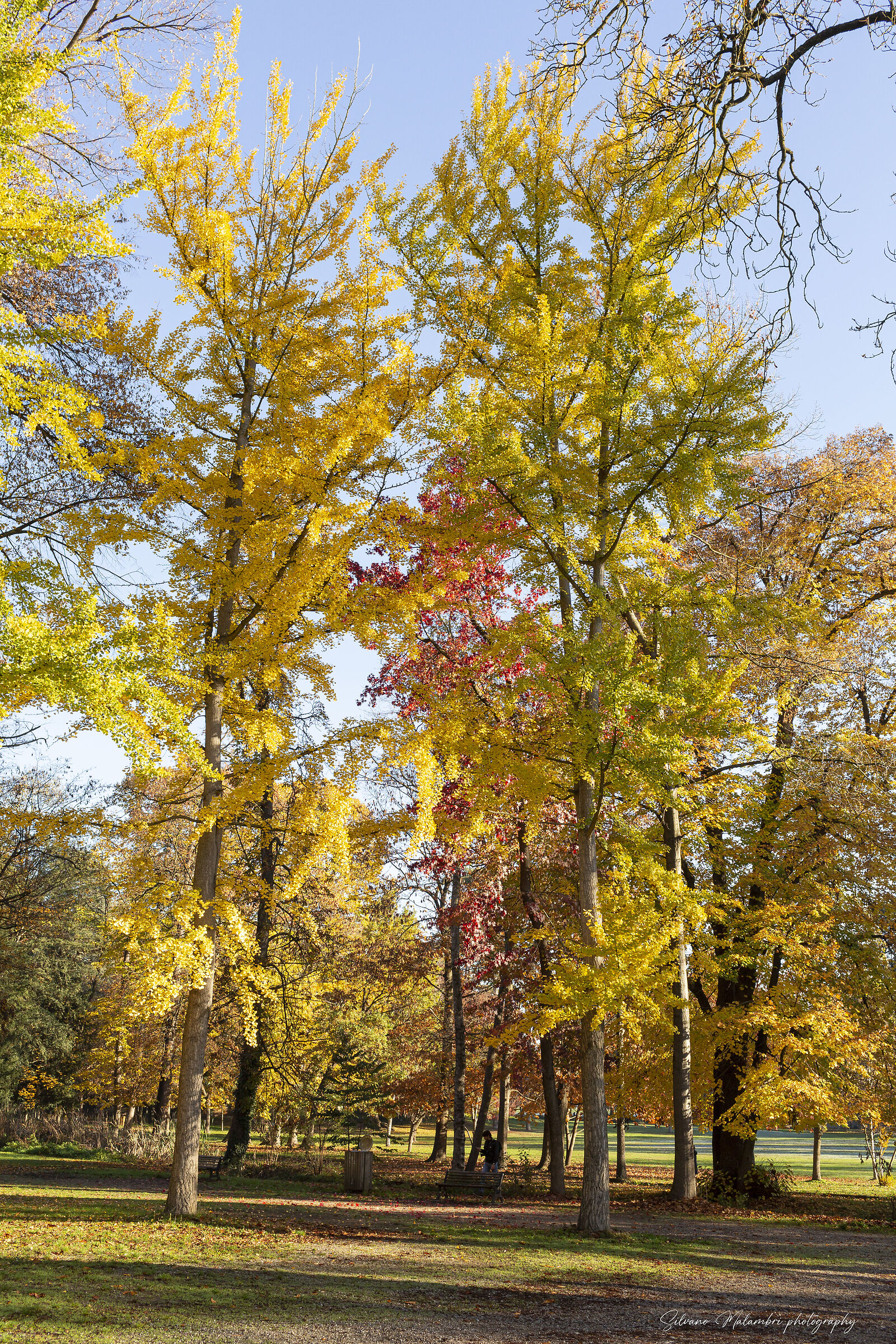 Autunno 2