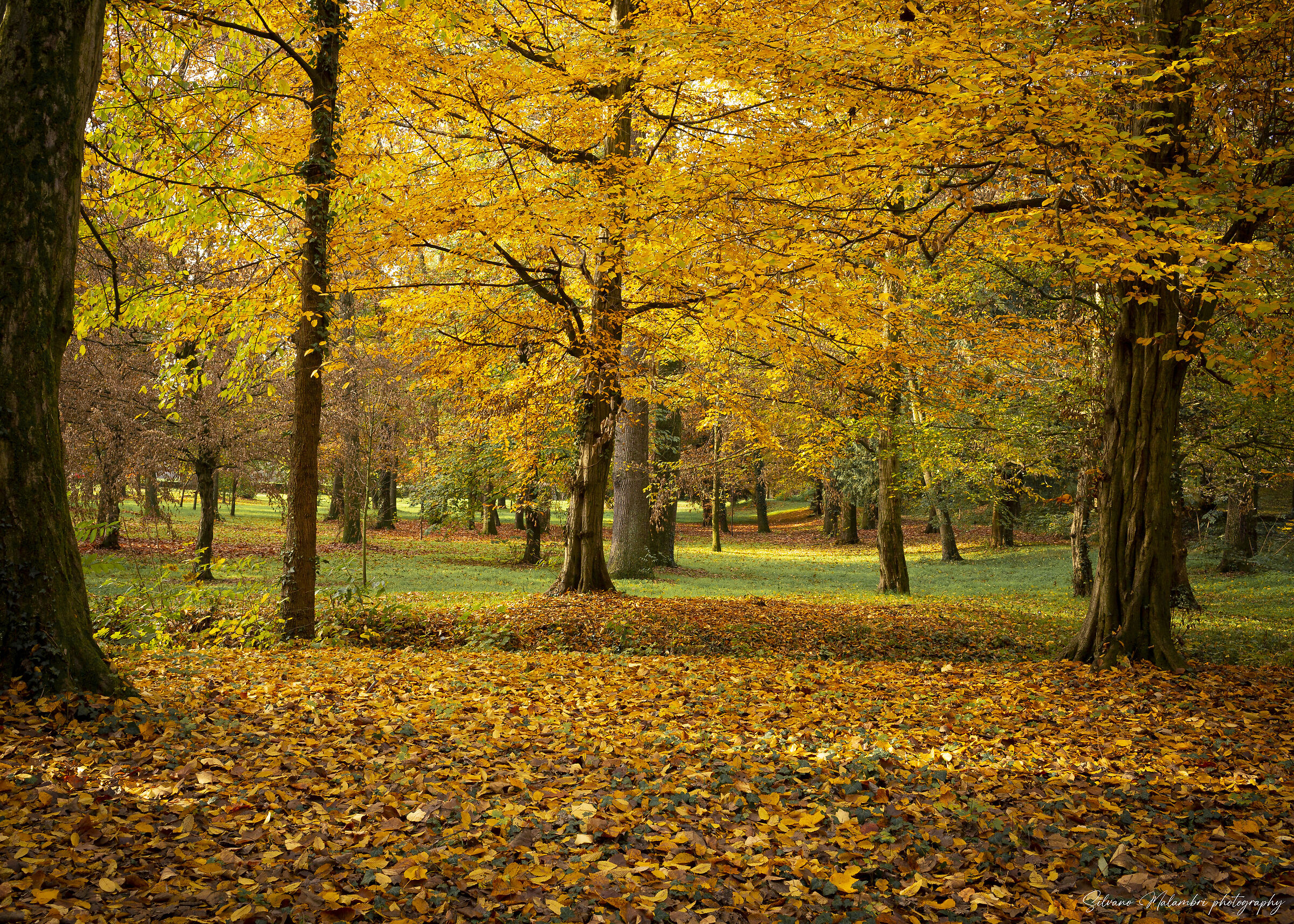 Autunno 5