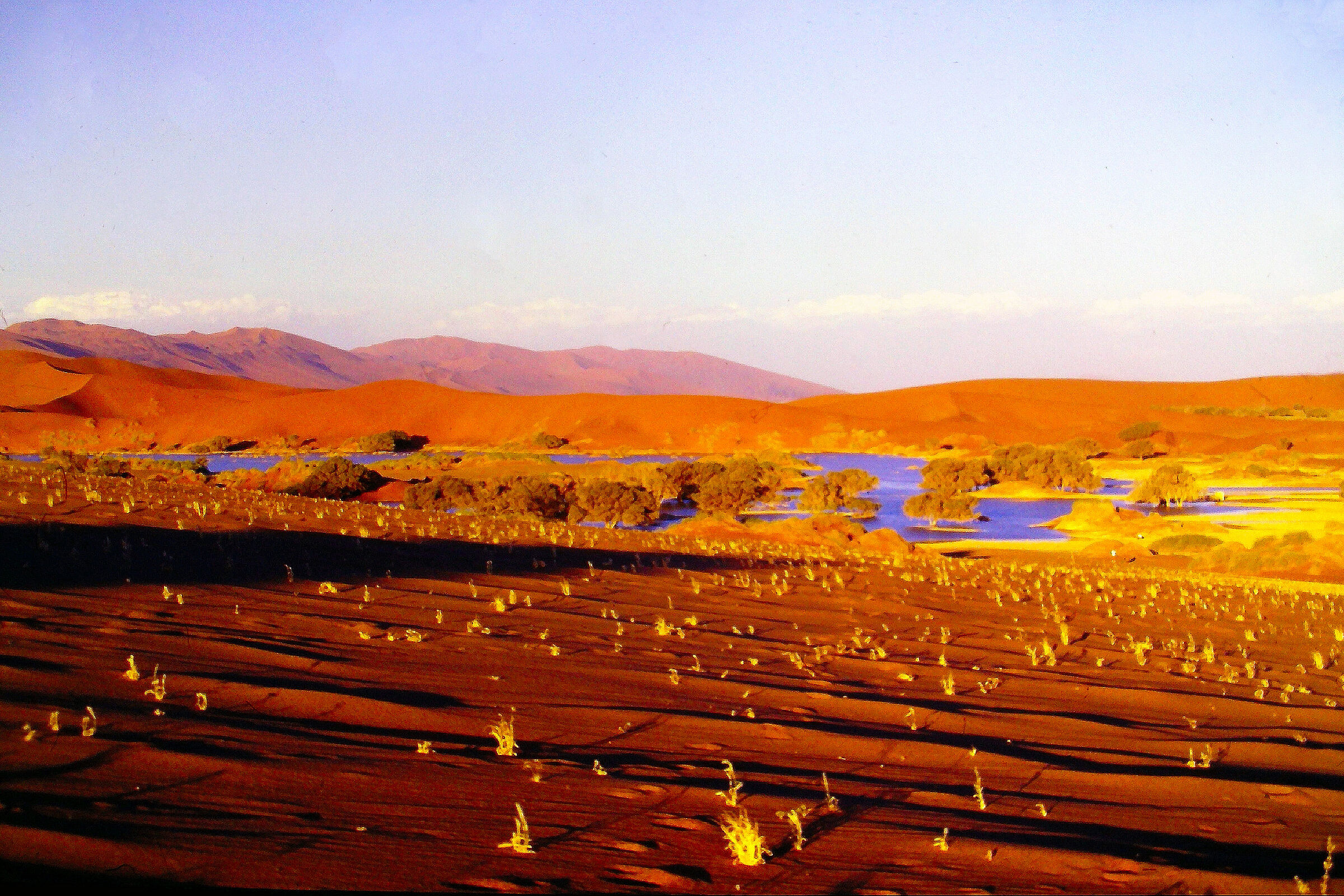 Namibia 1997 - Sossusvlei: sembrava un miraggio