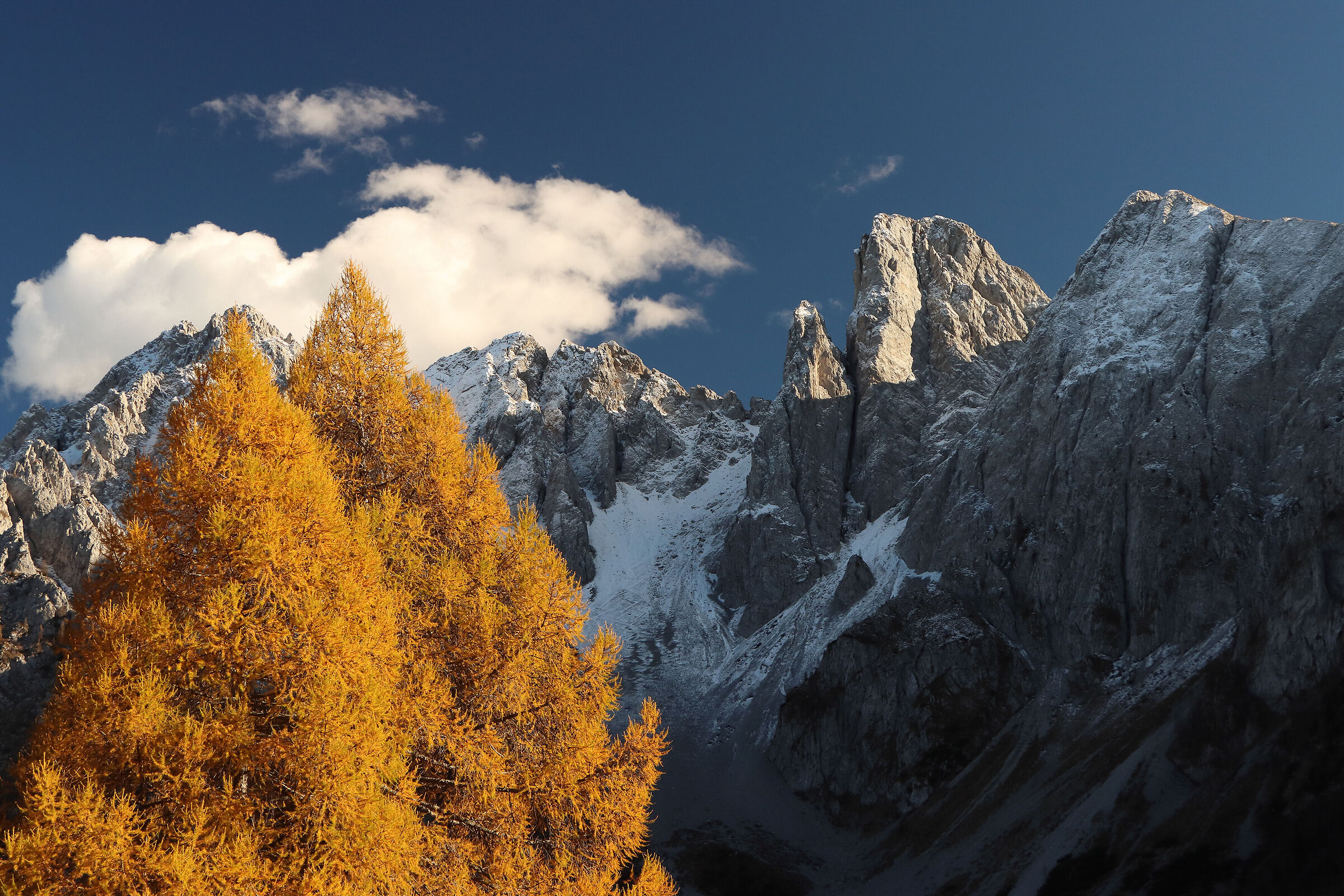 the "sentinels" of Cimone
