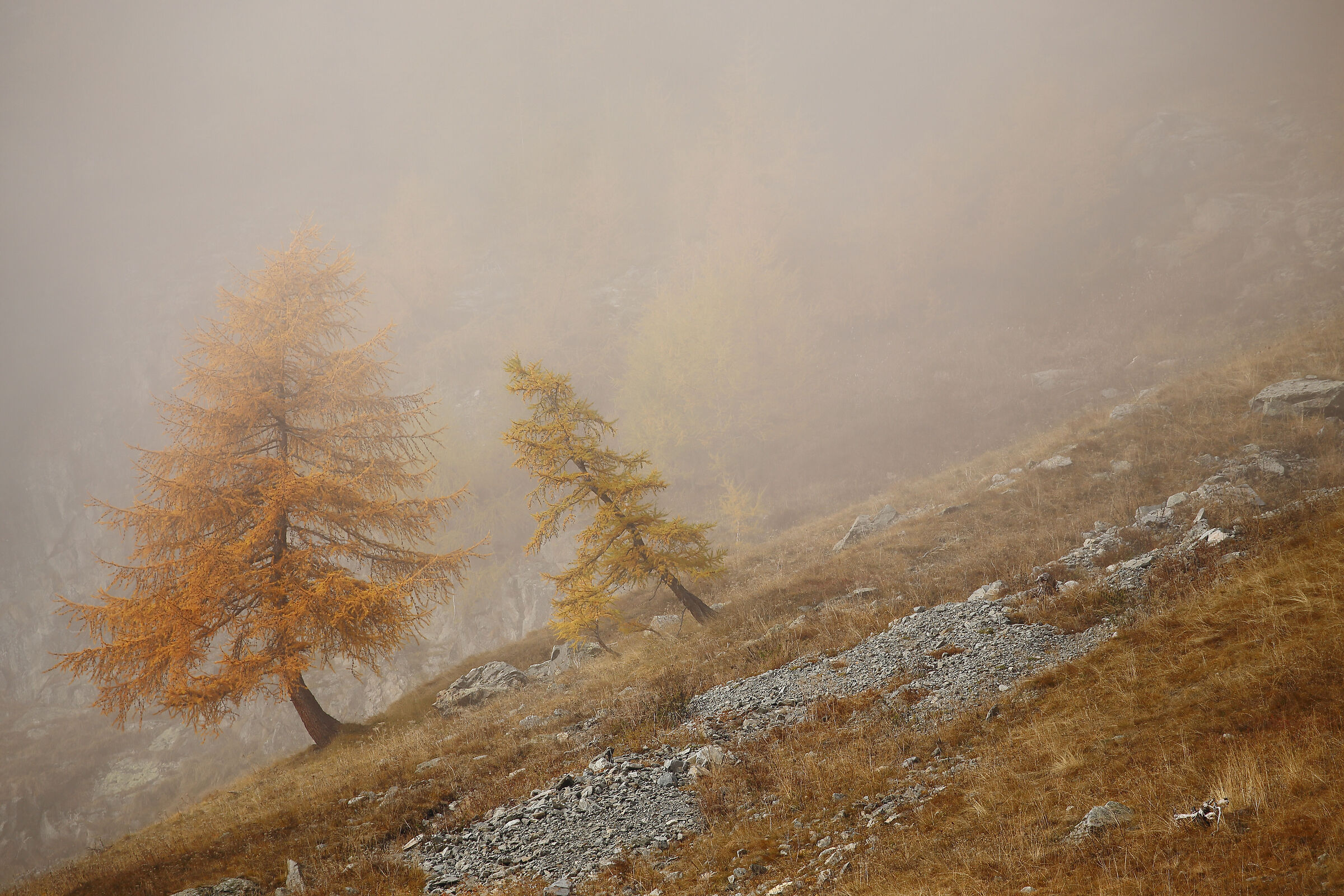 Io e te vento nel vento nodo nell'anima
