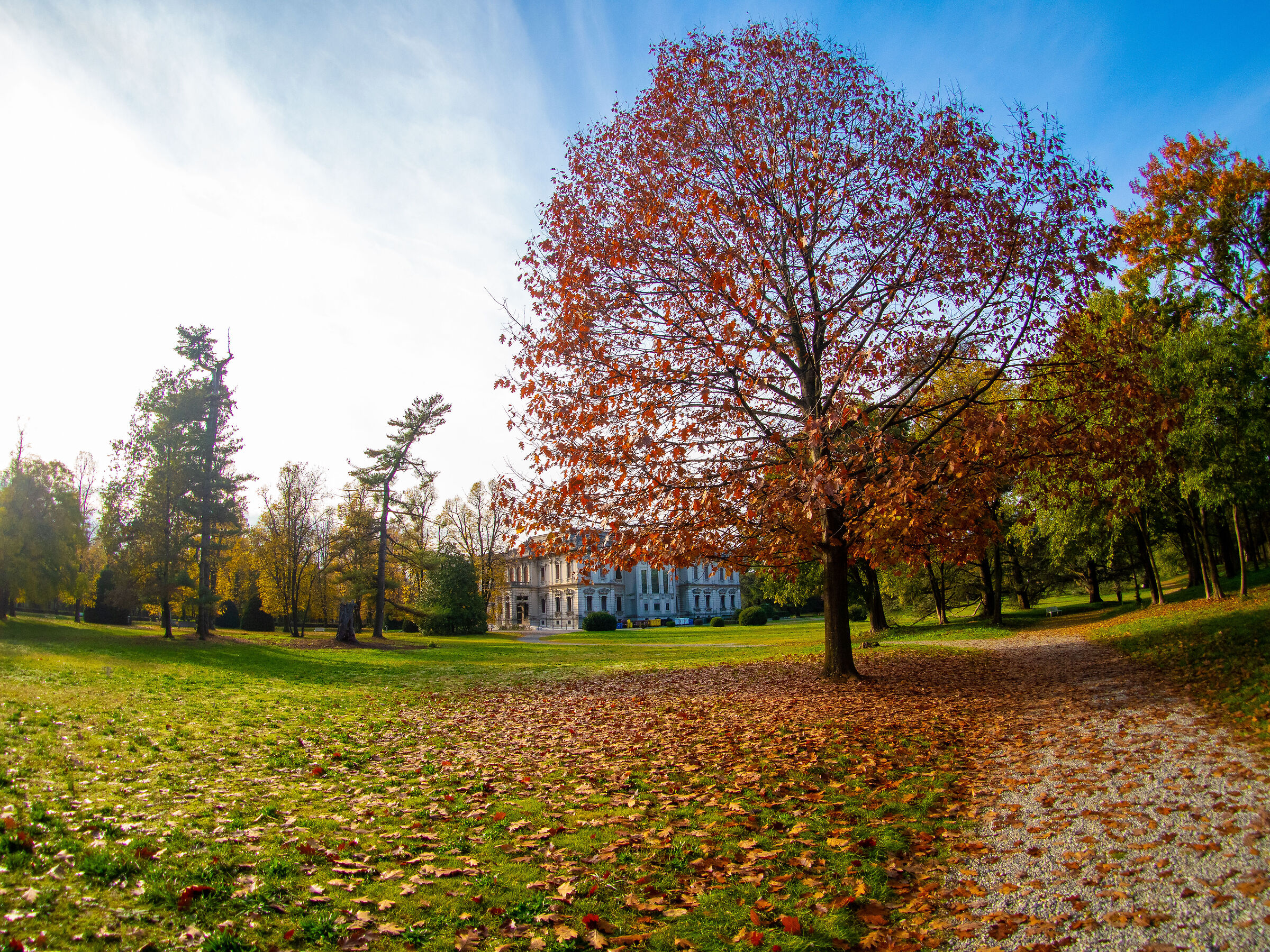 Park Villa Mazzotti - Chiari (BS), filiage