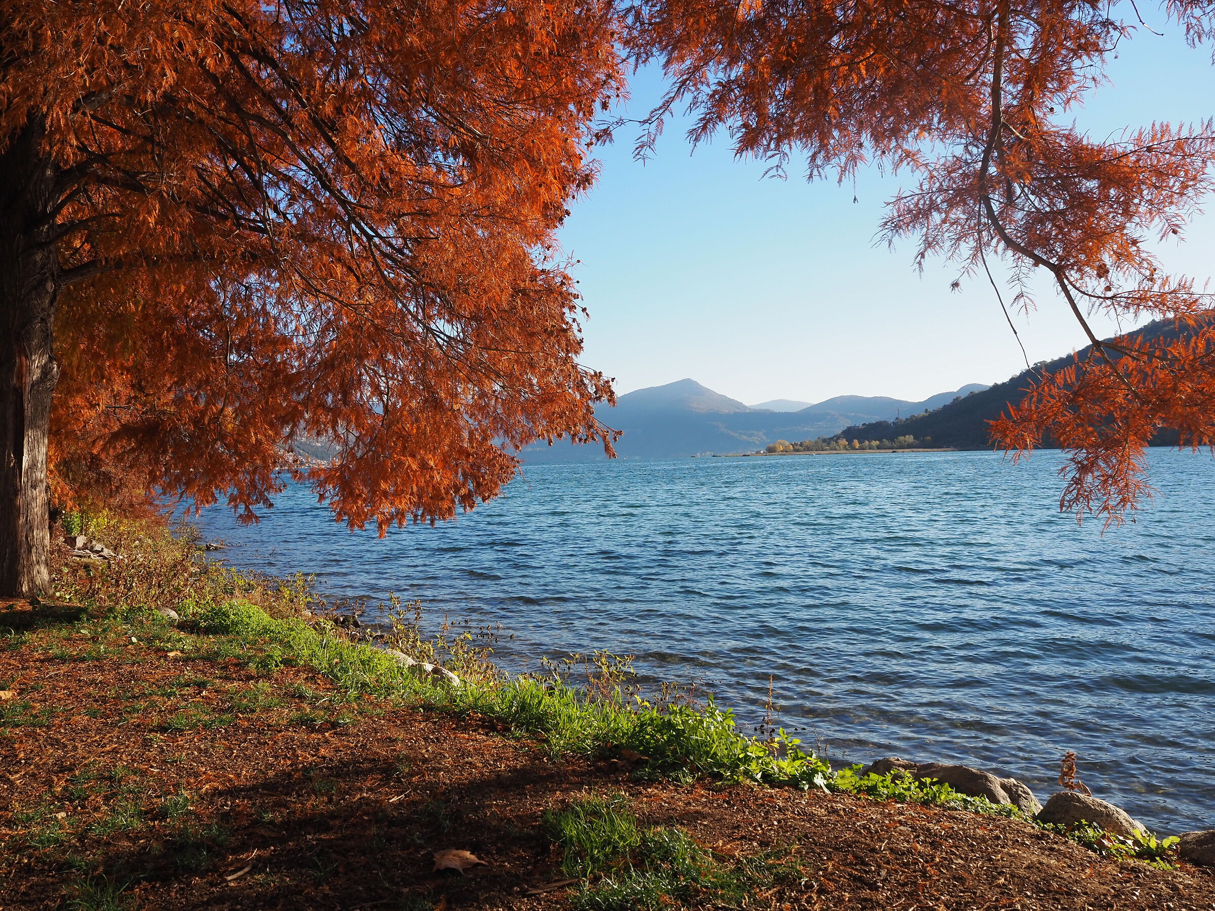 Foliage, along the lake - Sarnico (BG)