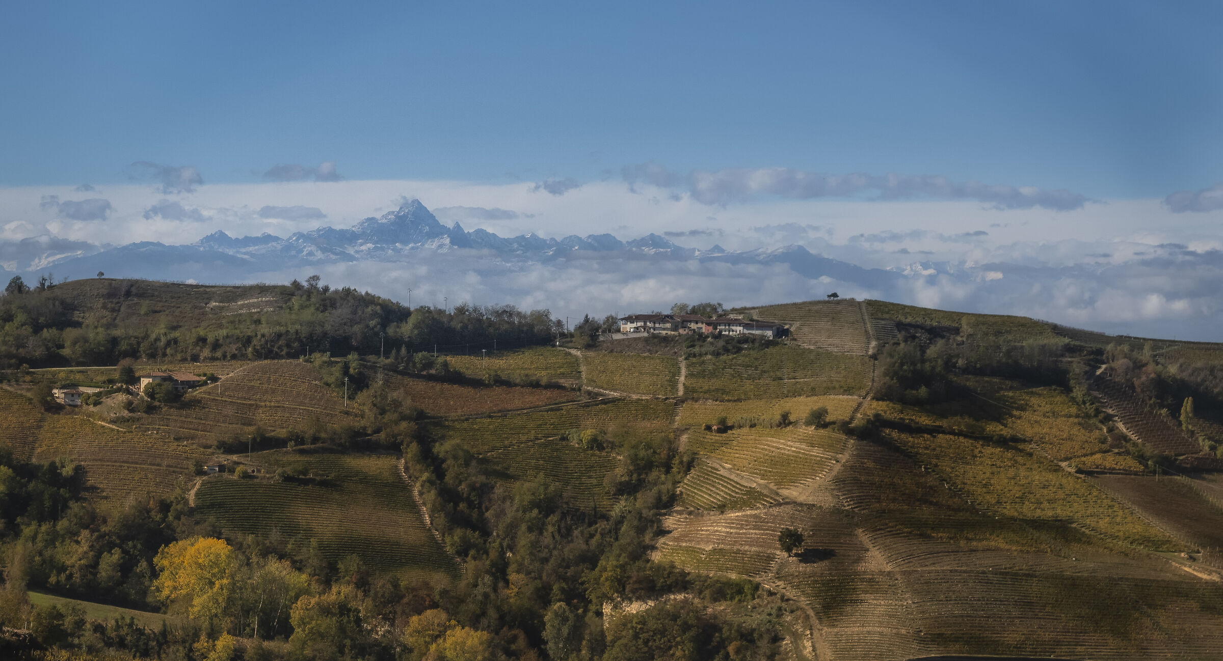 Langhe