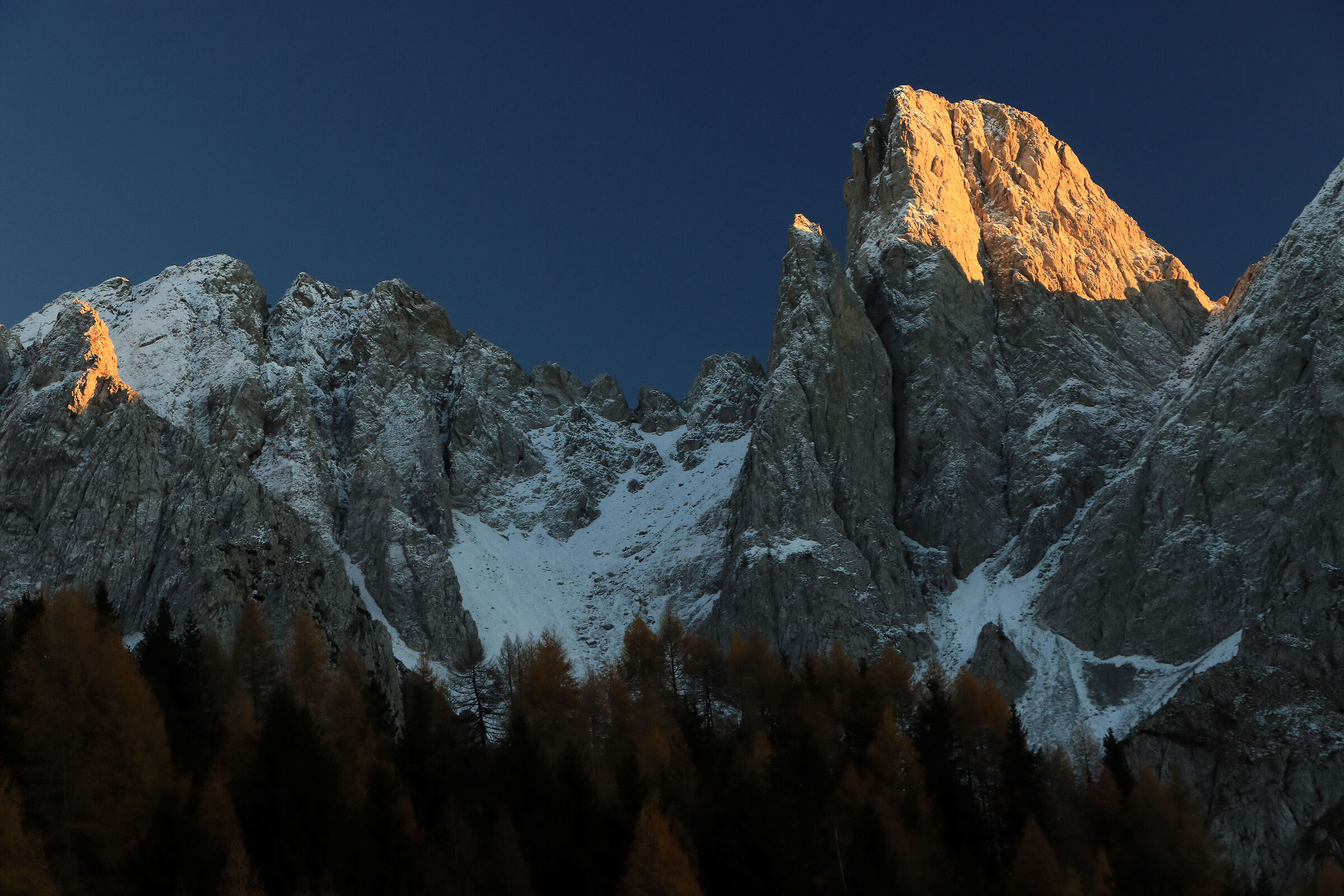 in the shade of the last sun