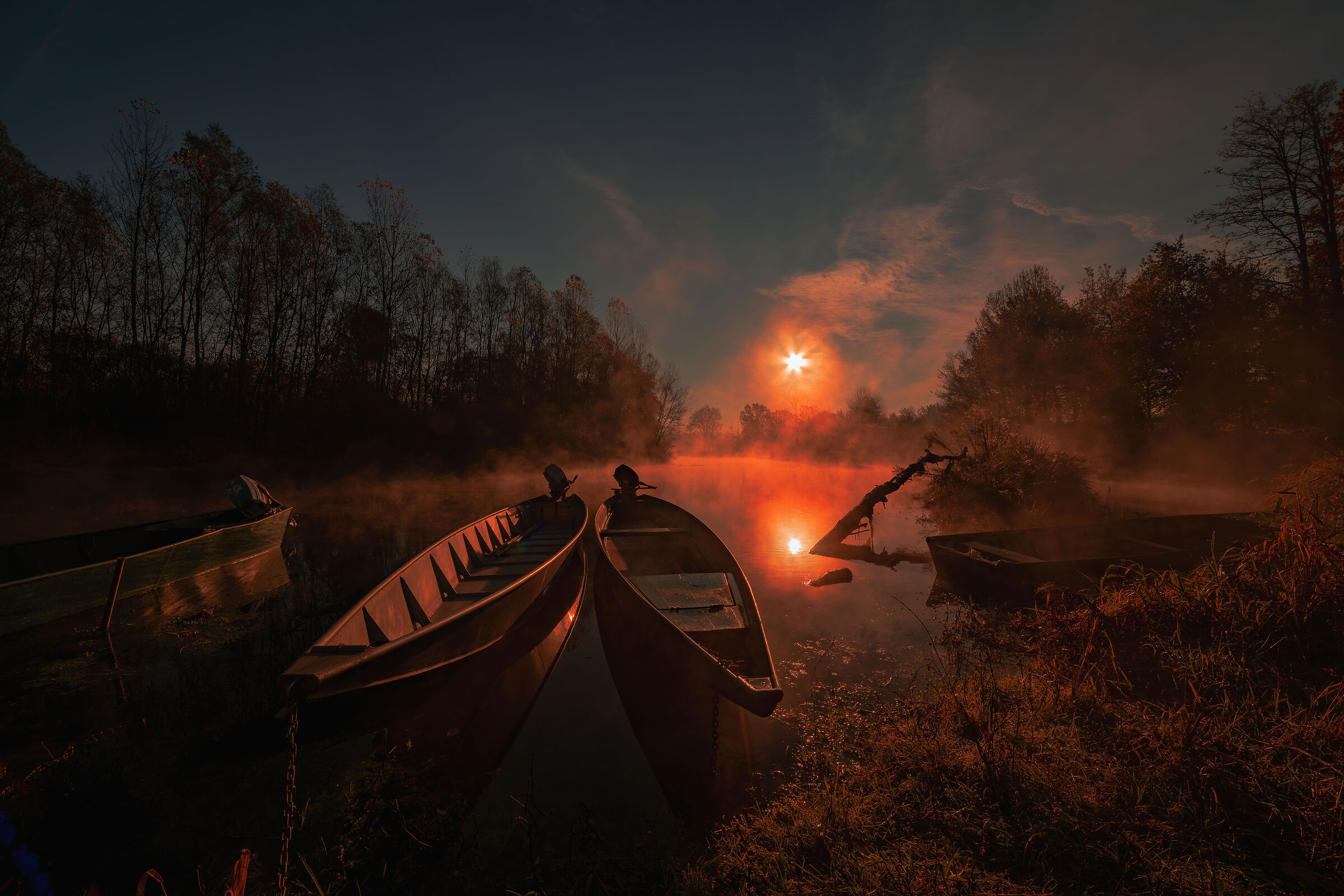 Chi dorme non piglia pesci