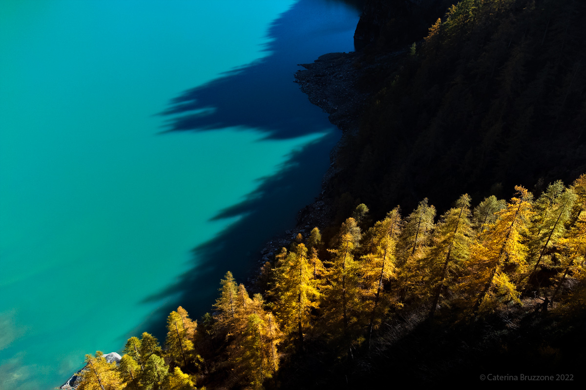 Lights and shadows on the lake