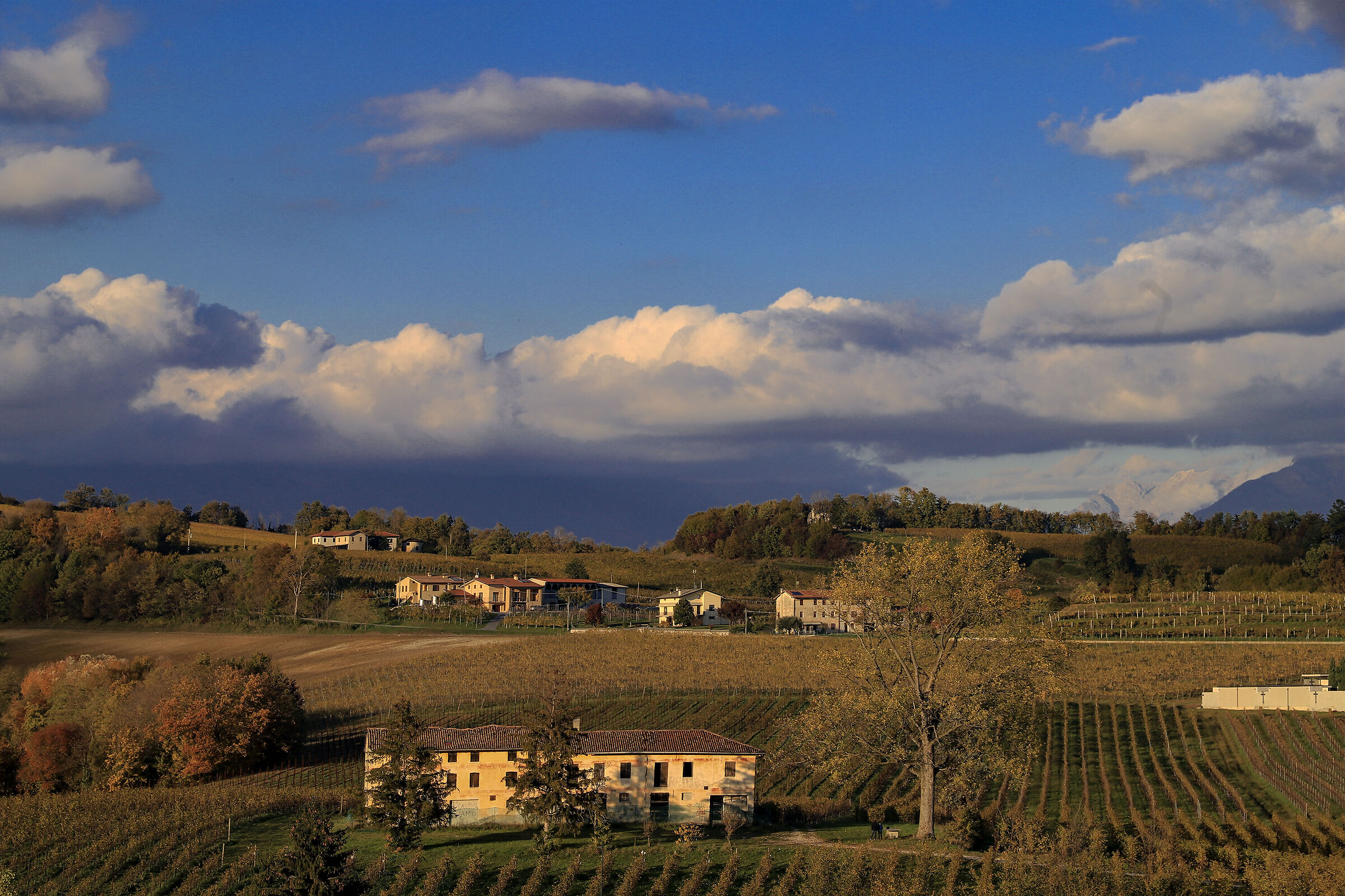 Susegana view