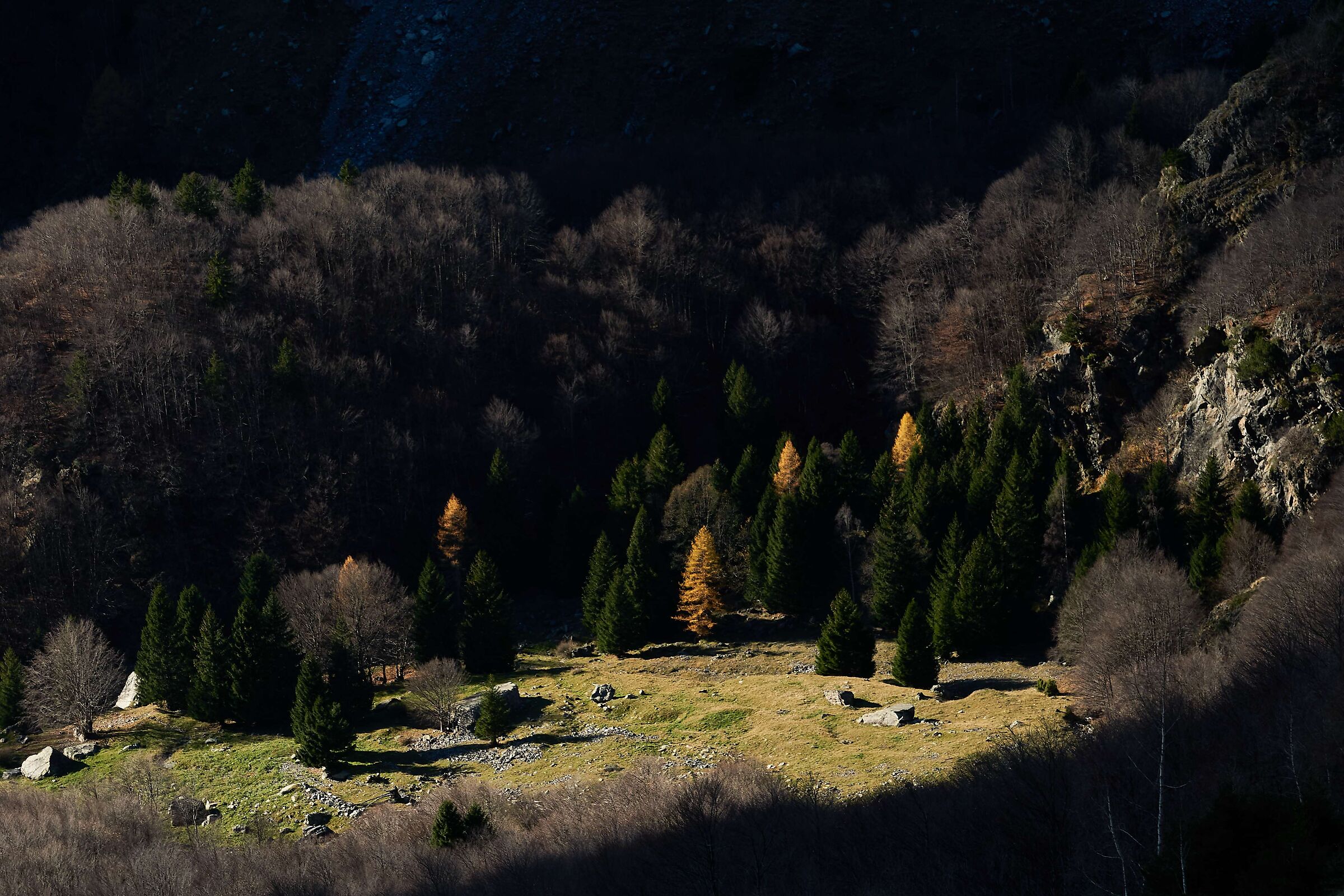 Glade