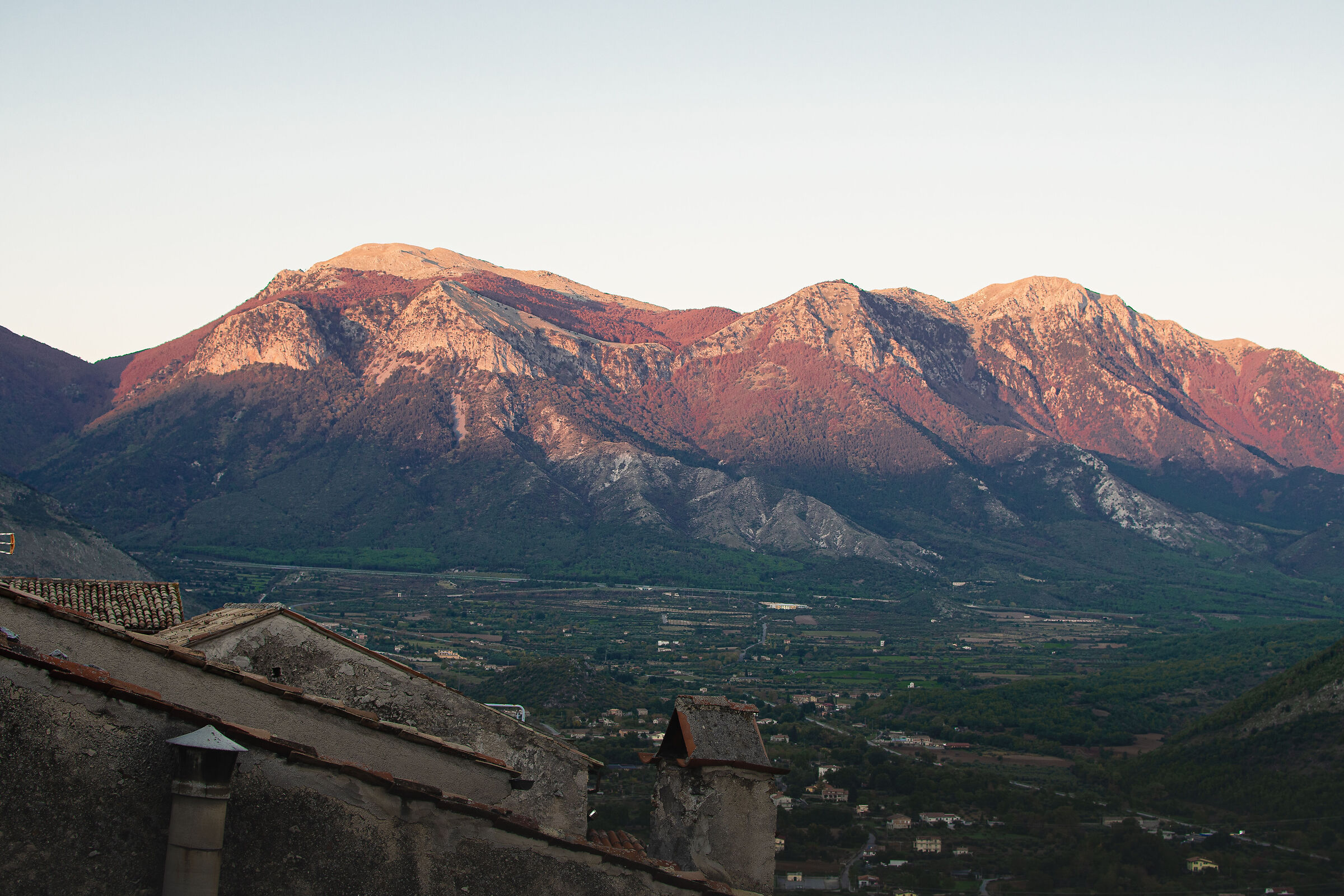 Pollino da Morano