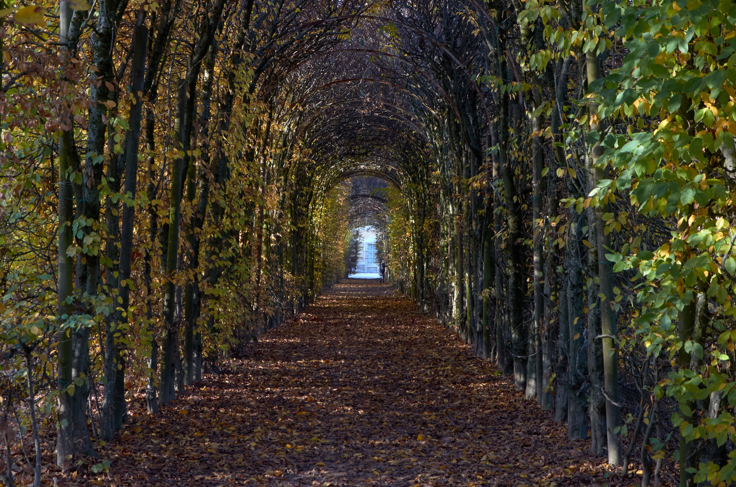 Reggia di Colorno