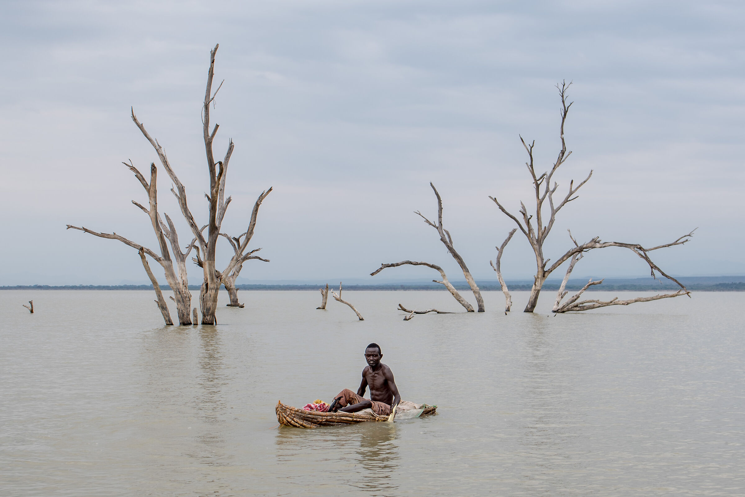 Pescando tra gli alberi