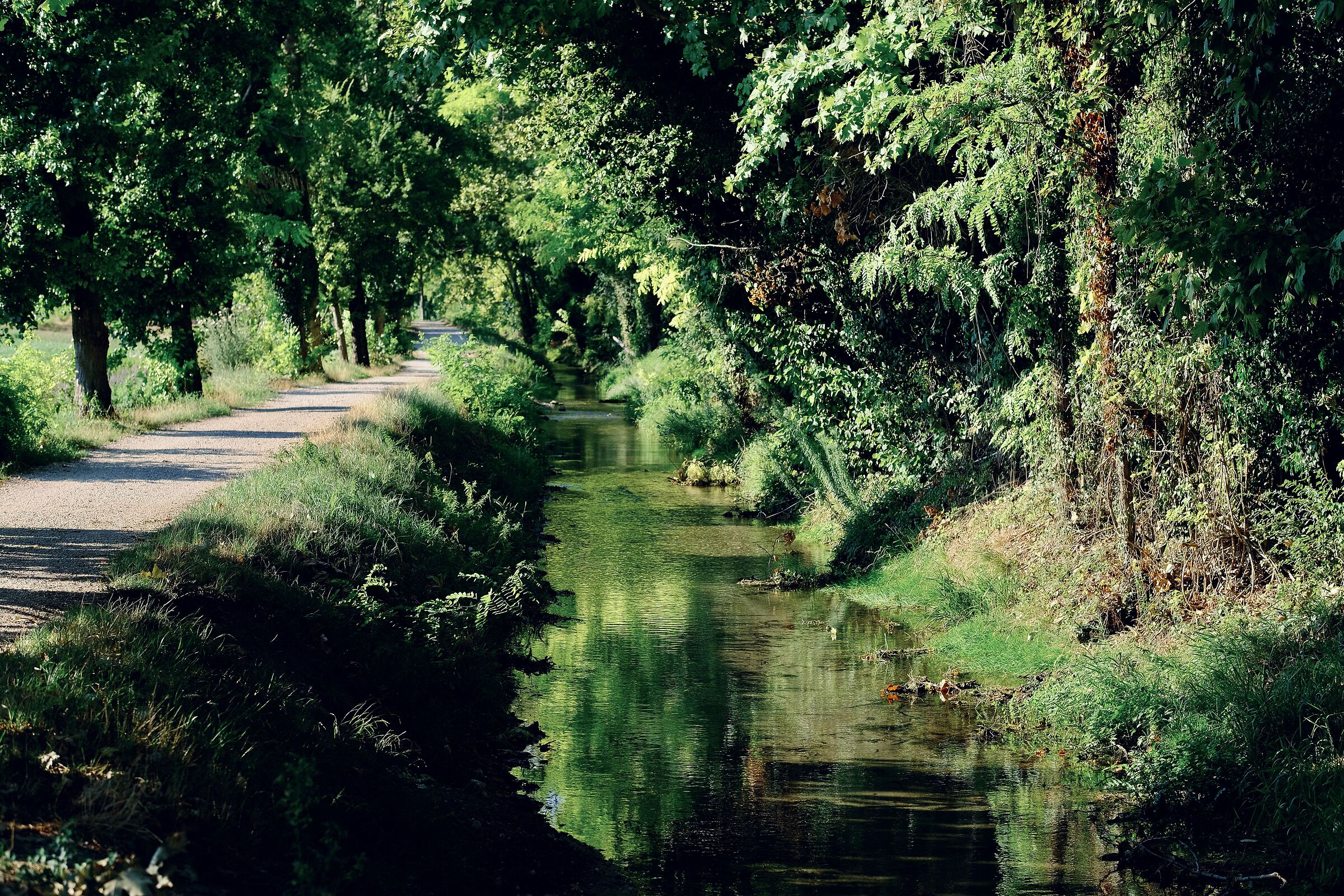 Veronese Countryside 3